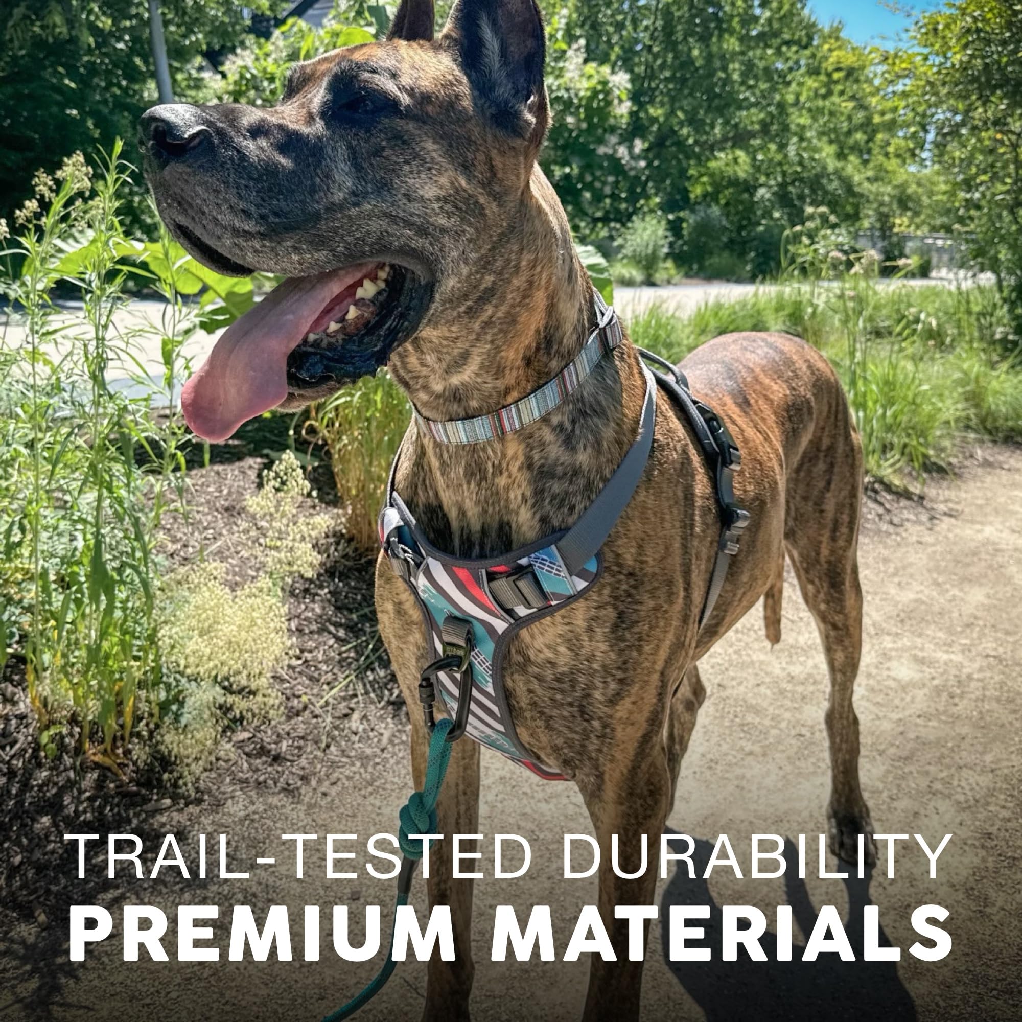 Embark Adventure Dog Harness, Reflective Trim No Pull Dog Harness Medium Sized Dogs - Military Grade Nylon, Front Clip With Gel