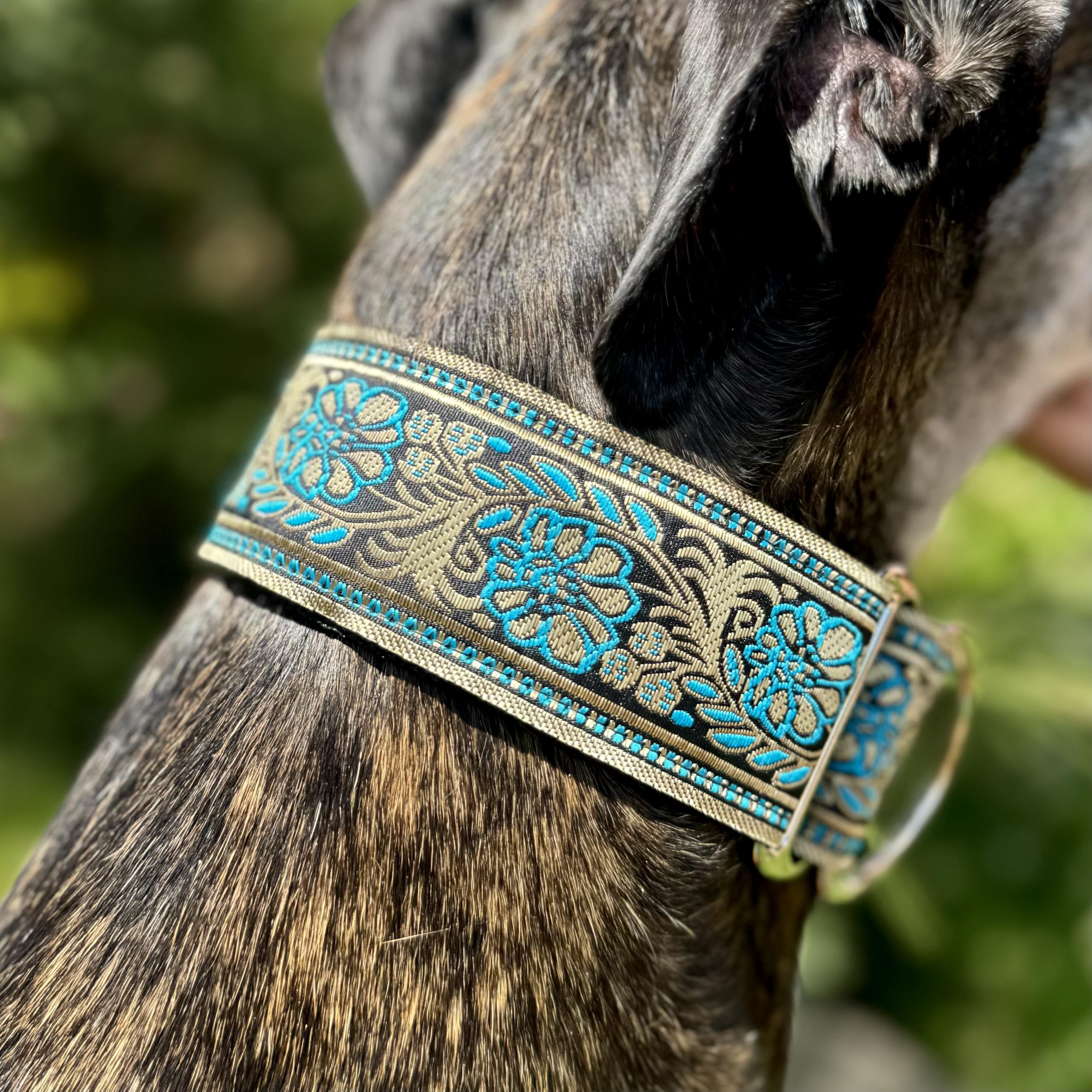 Sighthound Gang Martingale Dog Collar For Greyhound Saluki Whippet And Other Breeds With Similar Neck 2 Wide (Xl 17-22)