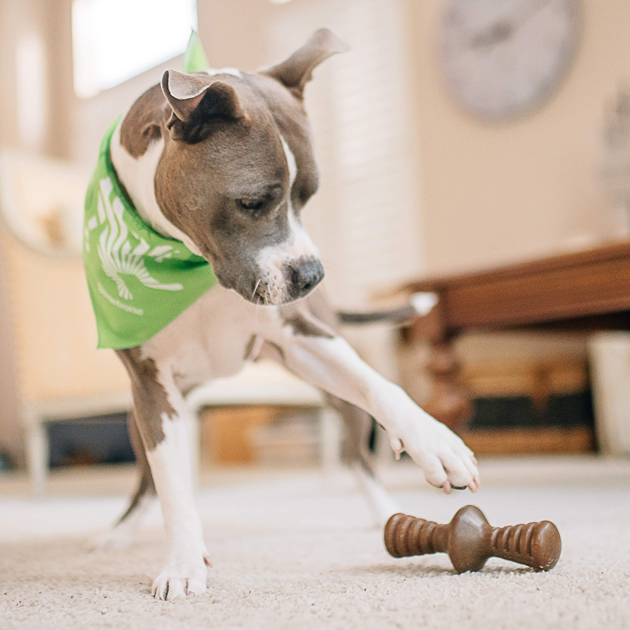 Benebone Zaggler Rolling Dog Chew Toy for Aggressive Chewers, Real Chicken, Made in USA, Large