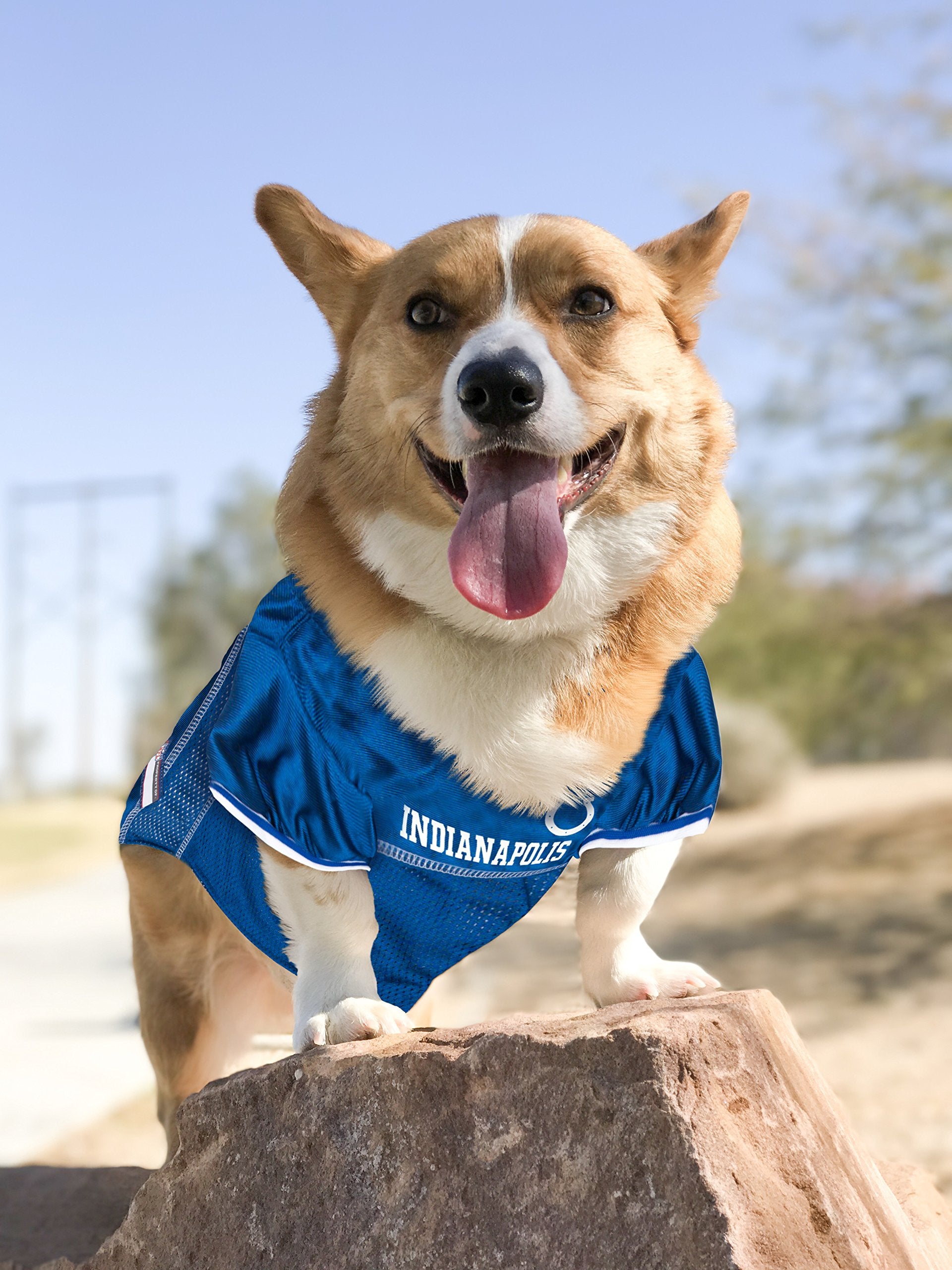 Nfl Indianapolis Colts Dog Jersey, Size: Large. Best Football Jersey Costume For Dogs & Cats. Licensed Jersey Shirt