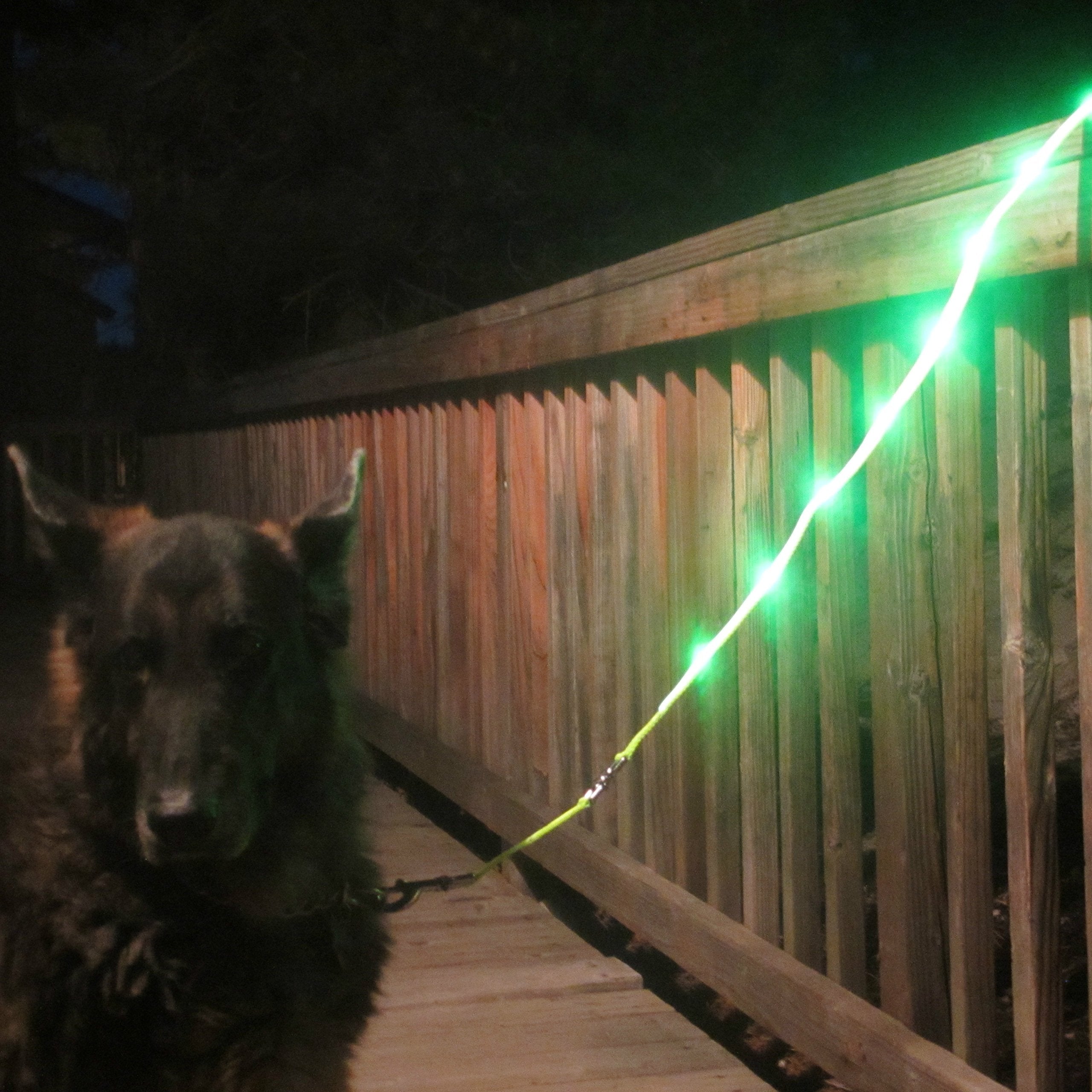 Blazin Light Up Dog Leash Led Dog Leash - 1,000 Feet Of Visibility - Usb Rechargeable Waterproof Glow In The Dark Dog Leash - 4