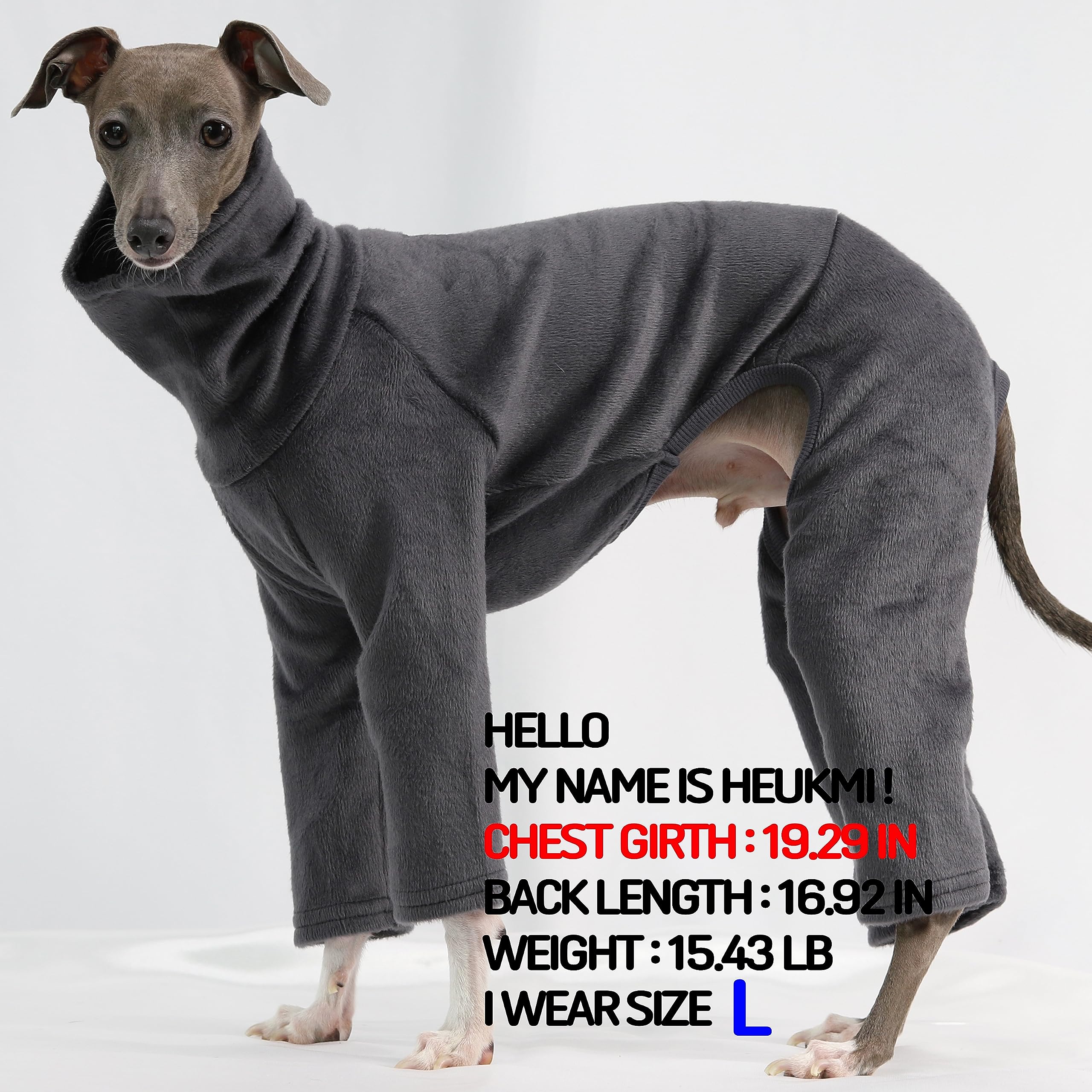 D Doggy Star Italian Greyhound Clothes Sweater Fleece Basic Onesie Whippet For Dog Turtleneck Outfits Coat (L,Flce Charcoal)