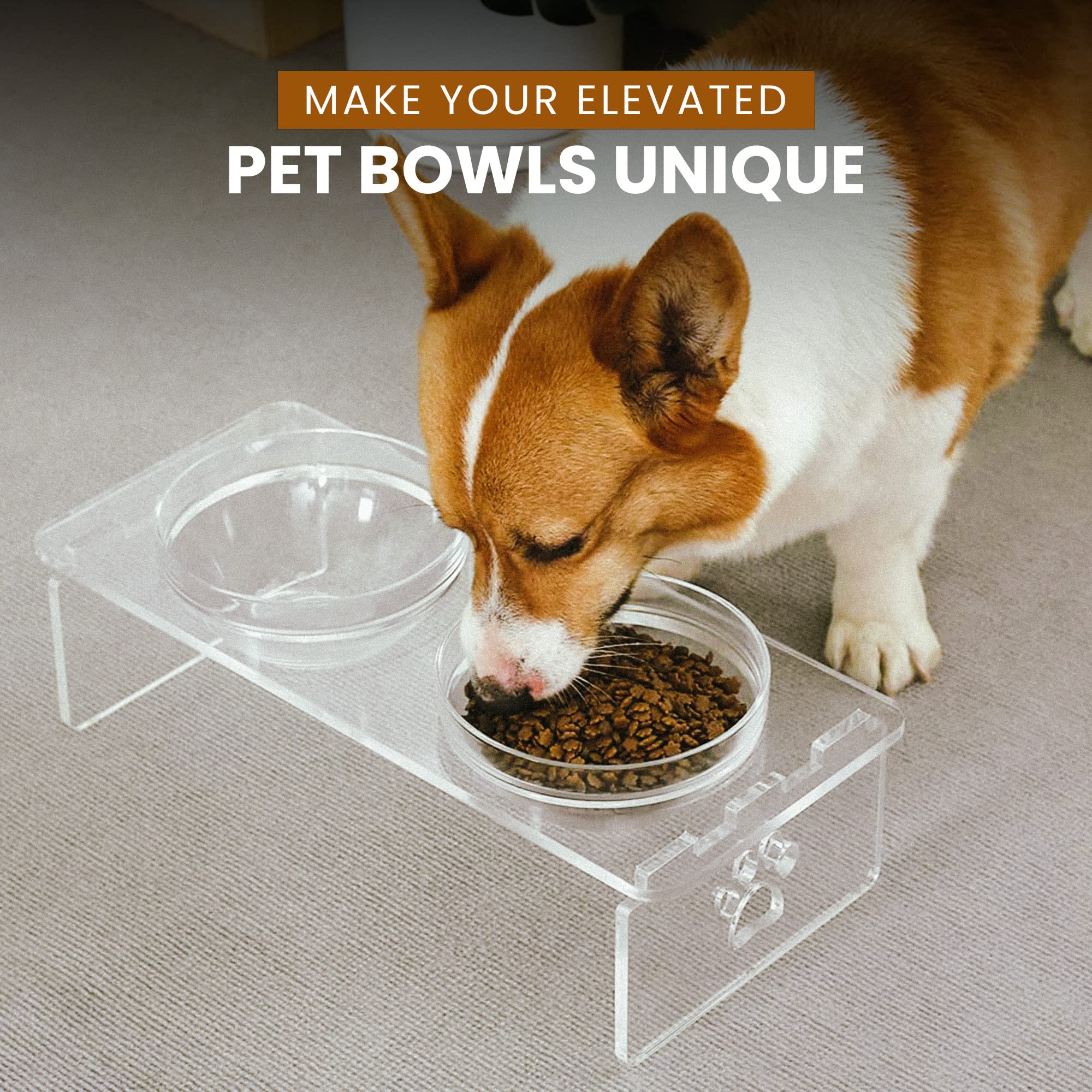 Dog and Cat Bowls Elevated Set - Acrylic Feeder Stand with 2 Set Removable Stainless Steel and Glass Bowls Food and Water Raised