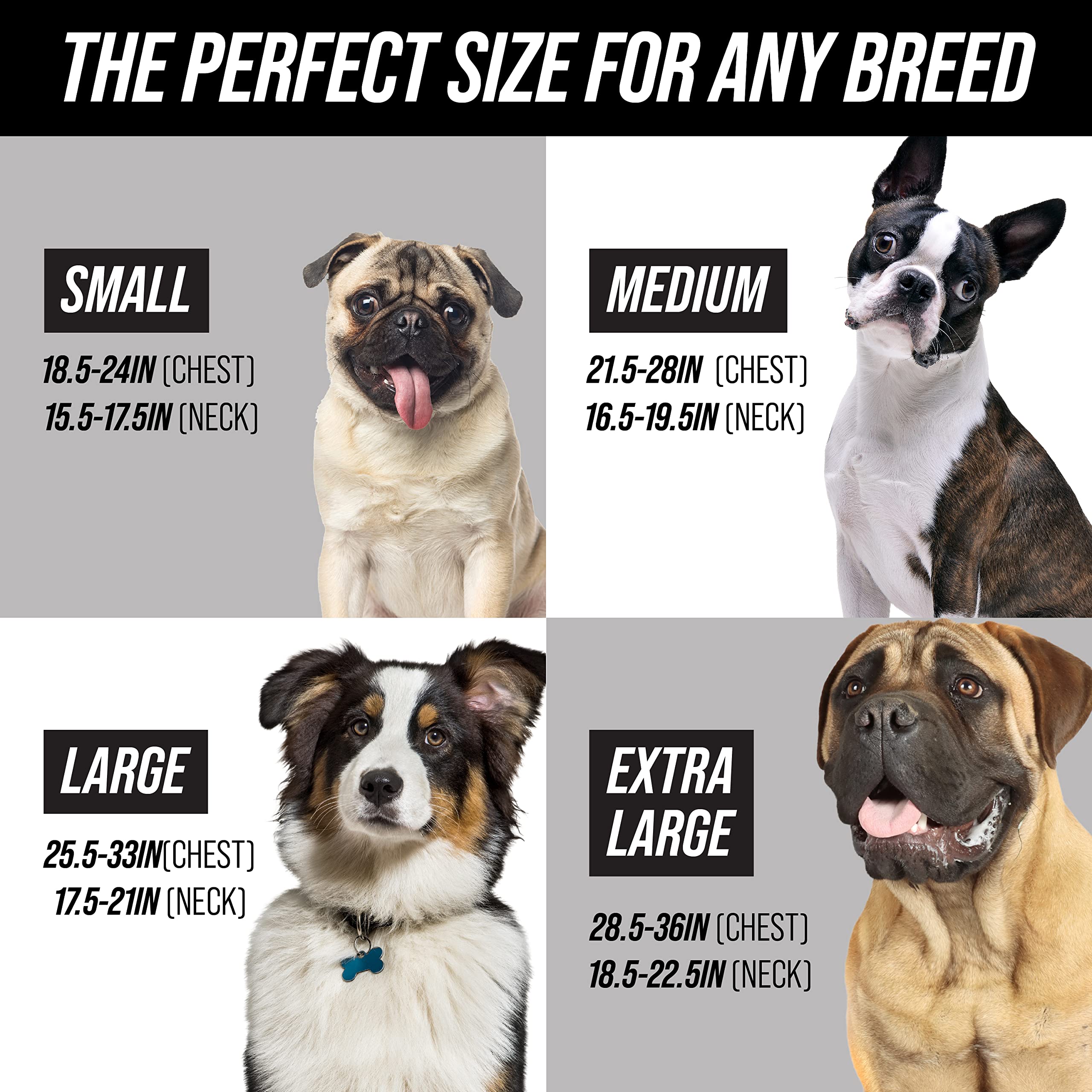 Leashboss No Pull Dog Harness, Easy Walk for Small, Medium, and Large Pets, Reflective with Rear and Front Clip Attachment (Wave