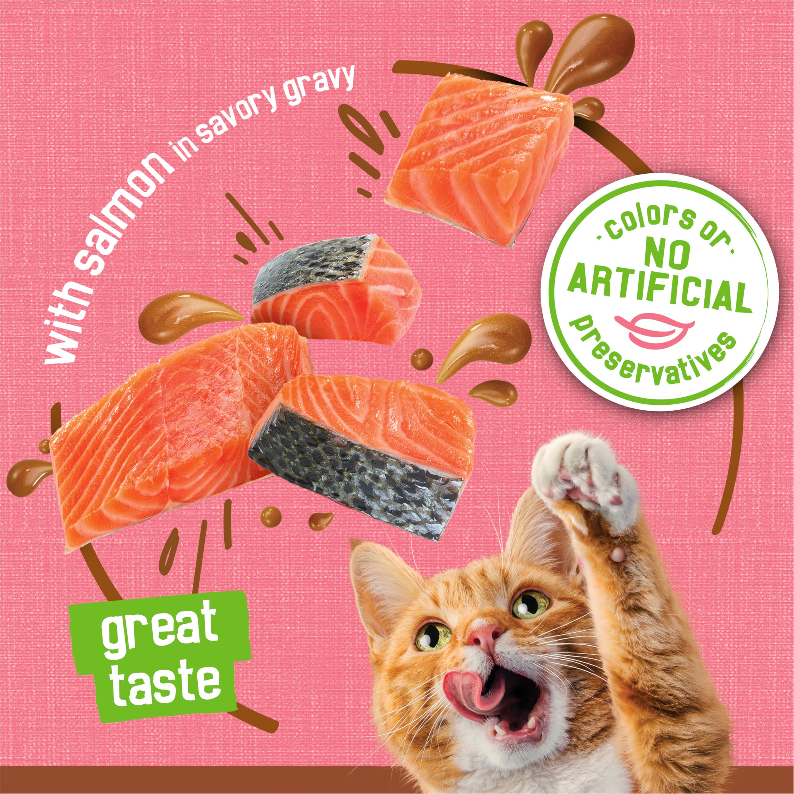 Purina Friskies Wet Cat Food Extra Gravy Pate With Salmon in Savory Gravy - (Pack of 24) 5.5 oz. Cans