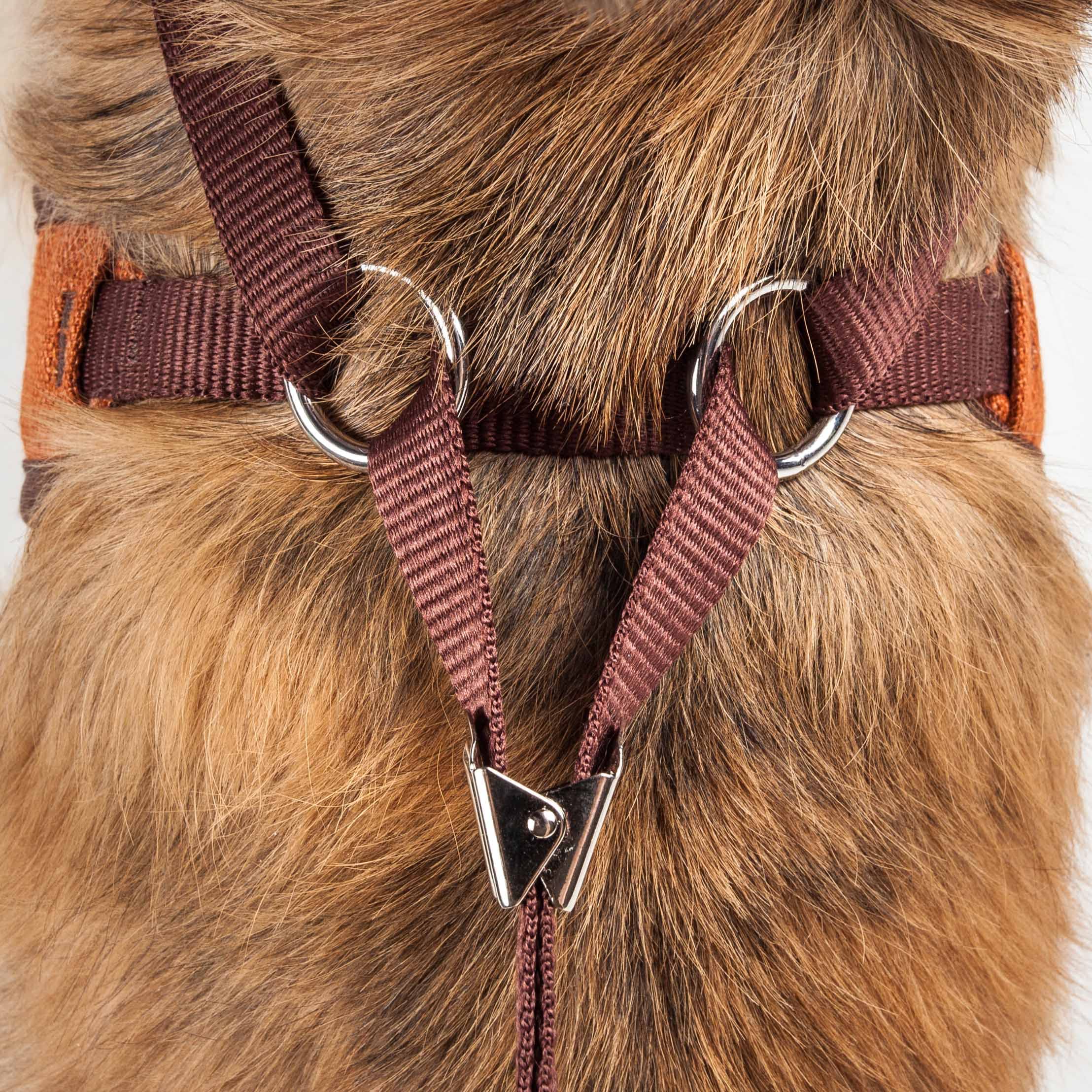Pet Life    Luxe Pawsh 2-In-1 Mesh Reversed Adjustable Dog Harness-Leash W/Fashion Bowtie, X-Small, Orange