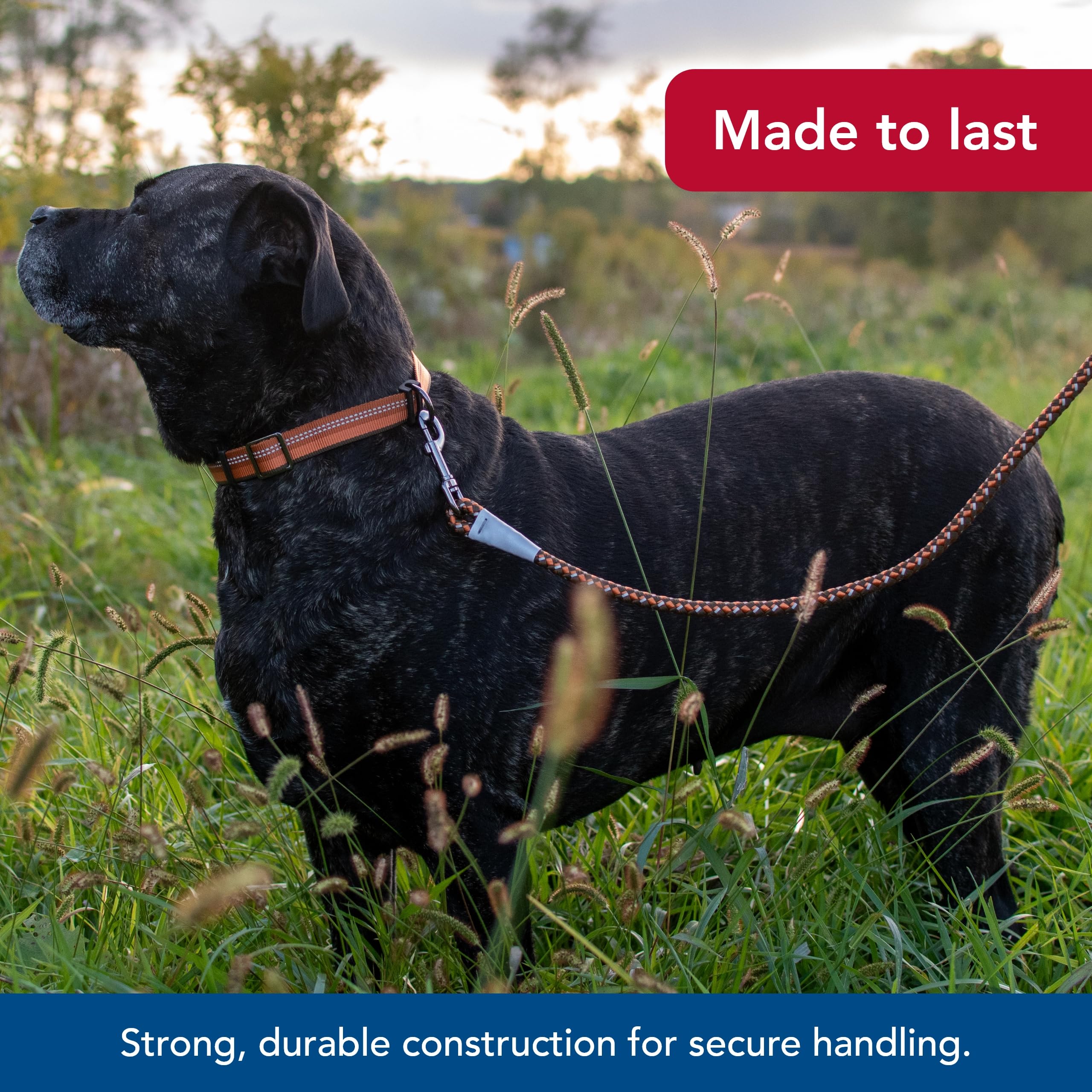 Coastal Pet K9 Explorer Reflective Braided Rope Snap Dog Leash - Heavy-Duty Leash - Comfortable & Secure Grip - Reflective Cord