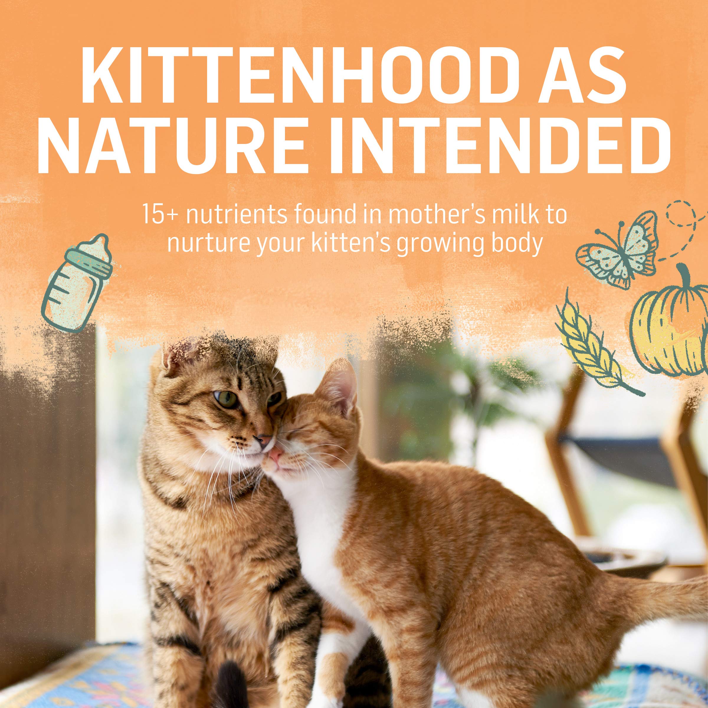 Beyond Purina High Protein, Natural Kitten Food, Kitten Chicken & Oatmeal Recipe - 3 lb. Bag