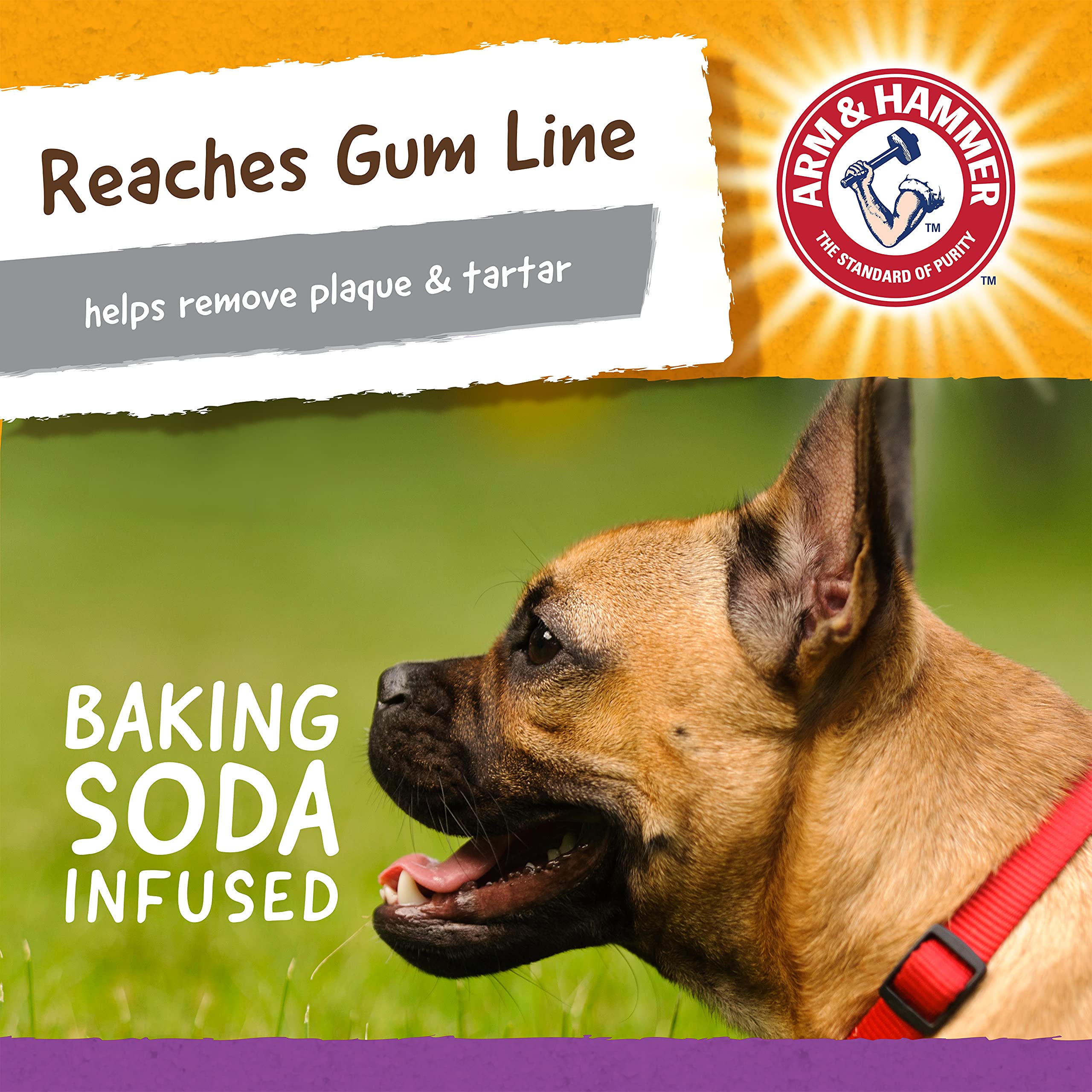 Arm & Hammer For Pets Super Treadz Mini Gator Dental Chew Toy For Dogs Best Dental Dog Chew Toy Dog Dental Chew Toys Reduce Plaque & Tartar Buildup Without Brushing (Pack Of 1)