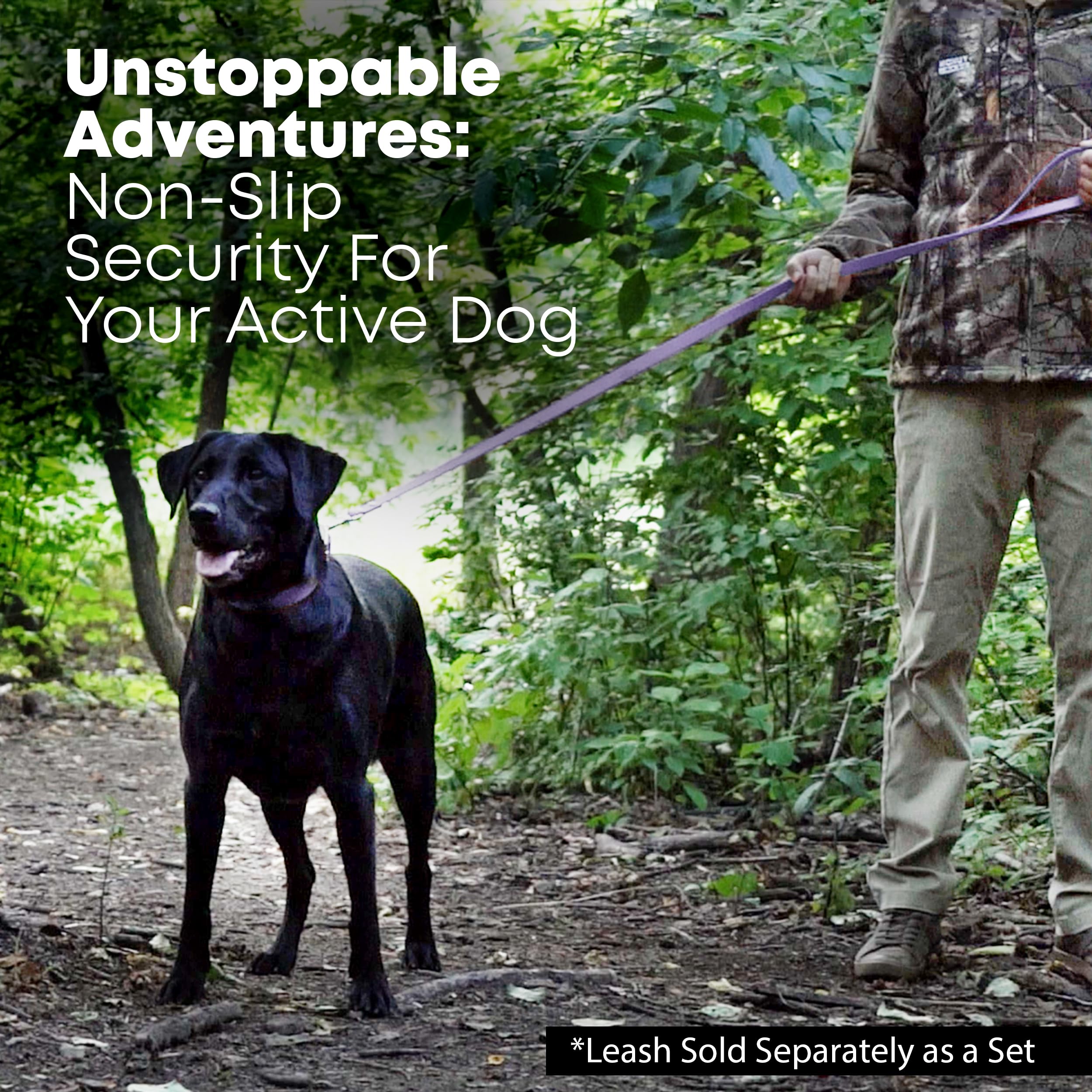 Regal Dog Products Large Purple Dog Collar With Heavy Duty Double Buckle & D Ring | Vinyl Coated, Custom Fit, Adjustable Biothan
