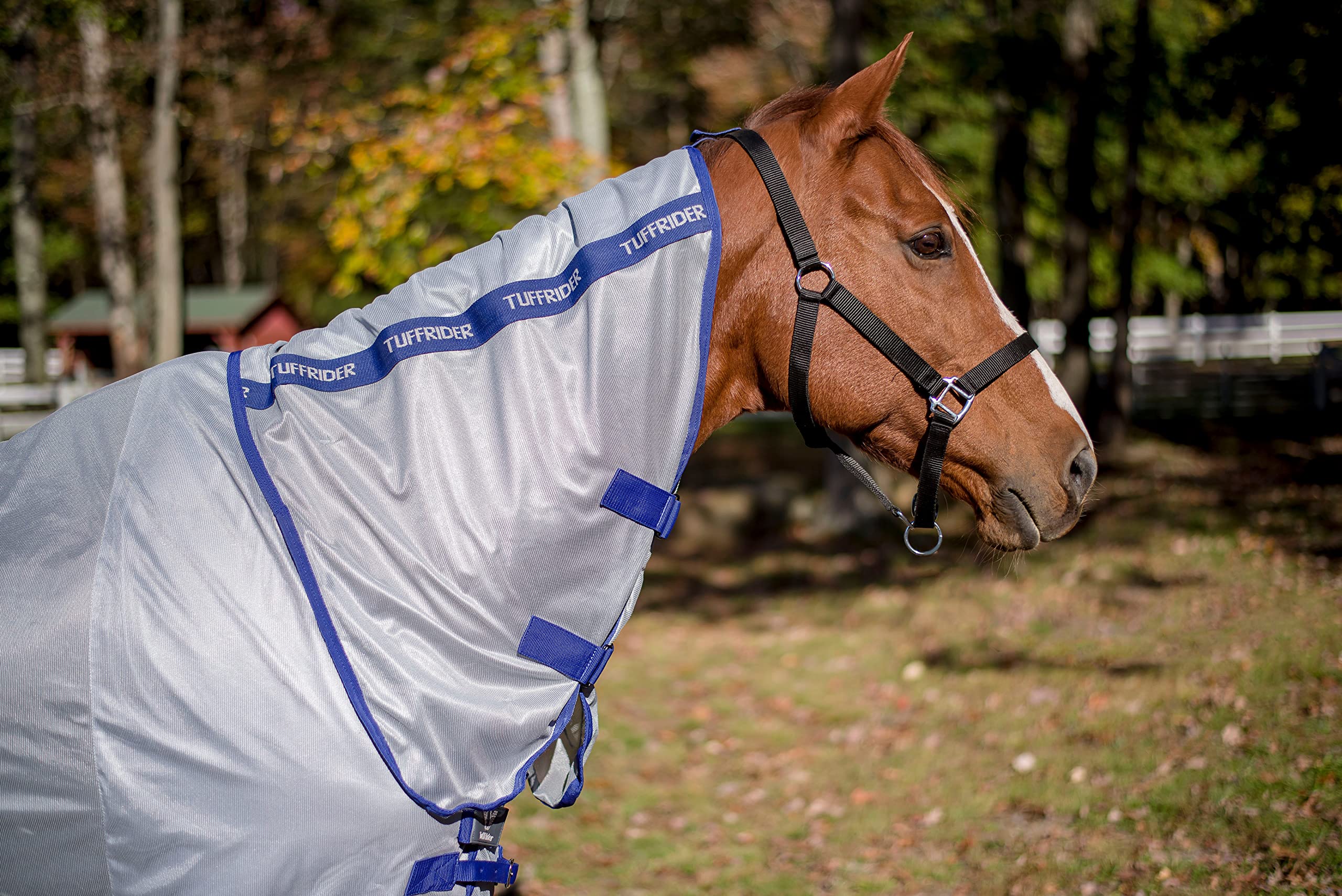 Tuffrider Comfy Plus Combo Fly Sheet 81 Blue