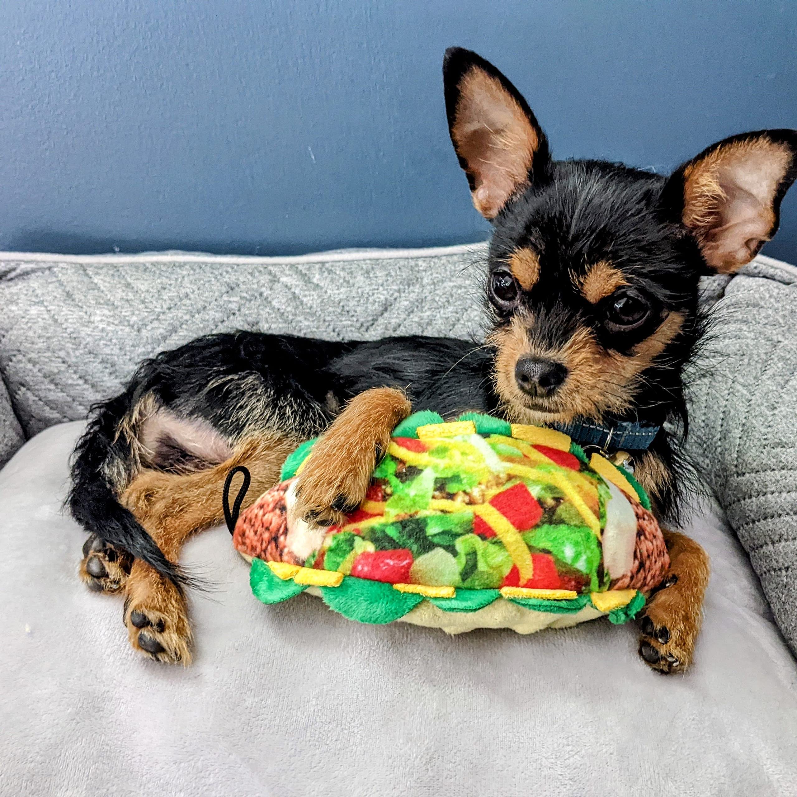 Huxley & Kent For Dogs - Taco Tuesday (Small) - Funny Dog Toy With Squeaker - Fun, Durable, And Safe