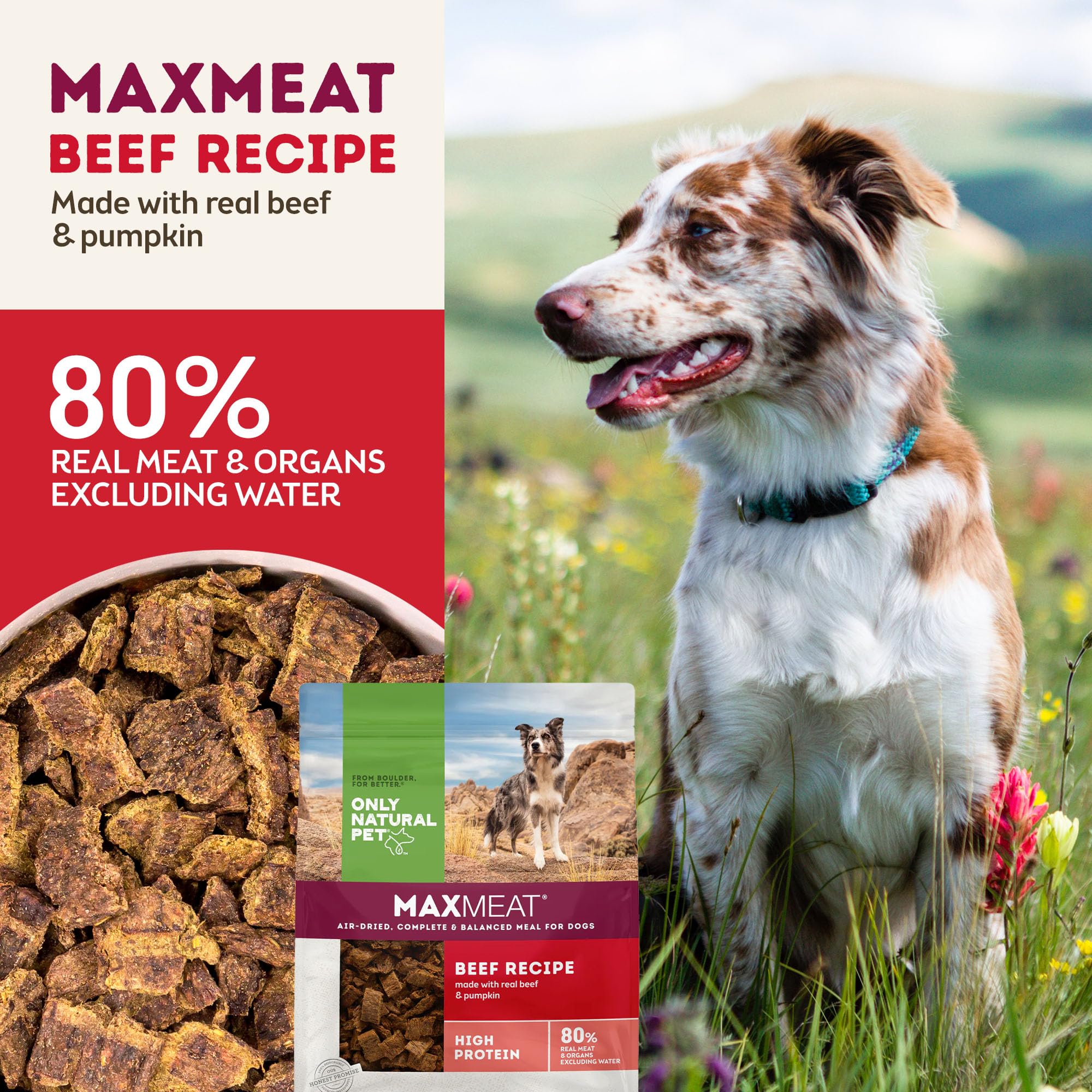 Only Natural Pet MaxMeat Holistic Air Dried Dry Dog Food - All Natural, High Protein, Grain Free - Made with Real Meat - Beef wi