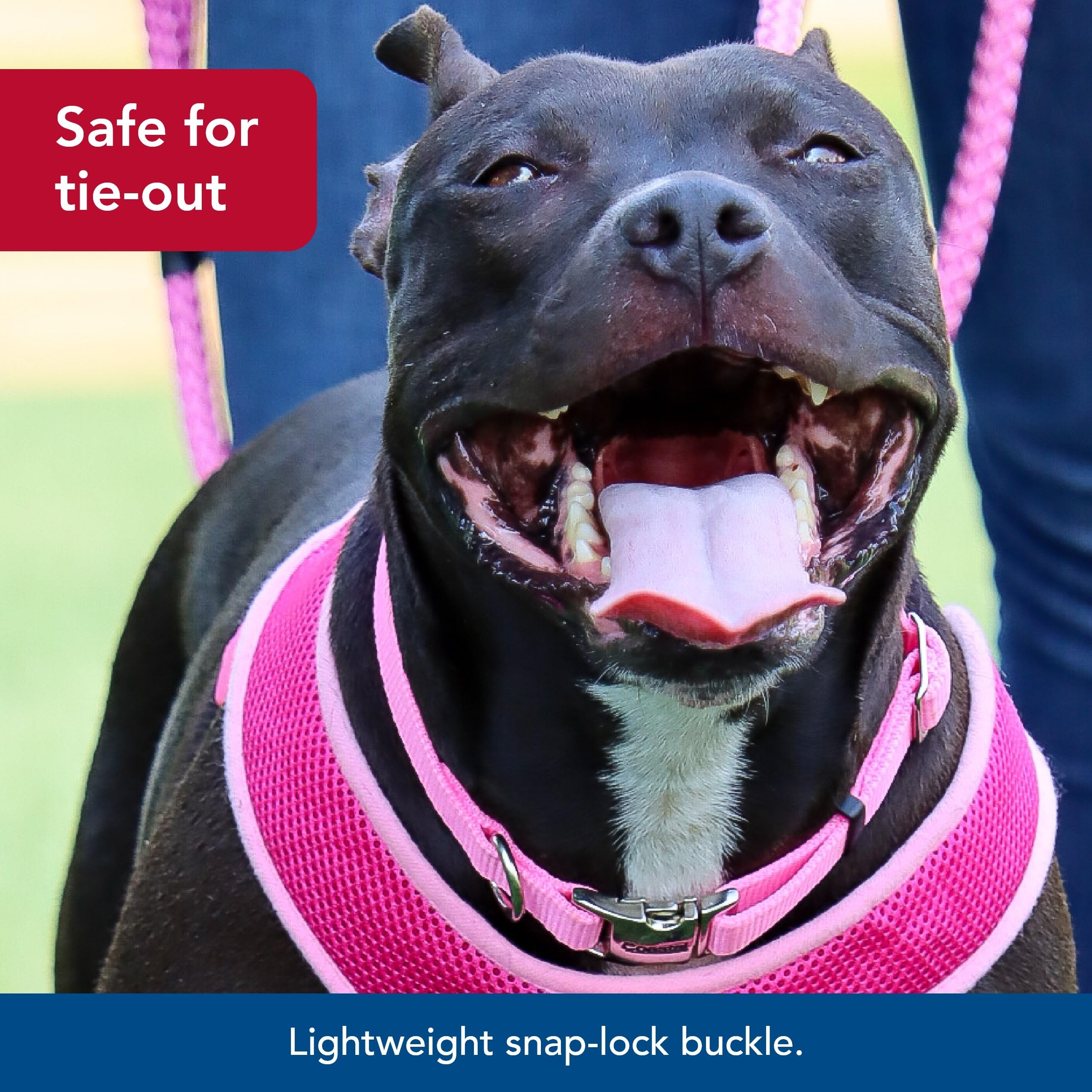 Coastal Pet Adjustable Dog Collar With Metal Buckle - Comfortable Fade-Resistant Dog Collar With Snap Lock - Perfect For Walking & Tie Outs -Pink Bright - 1' X 18' - 26'