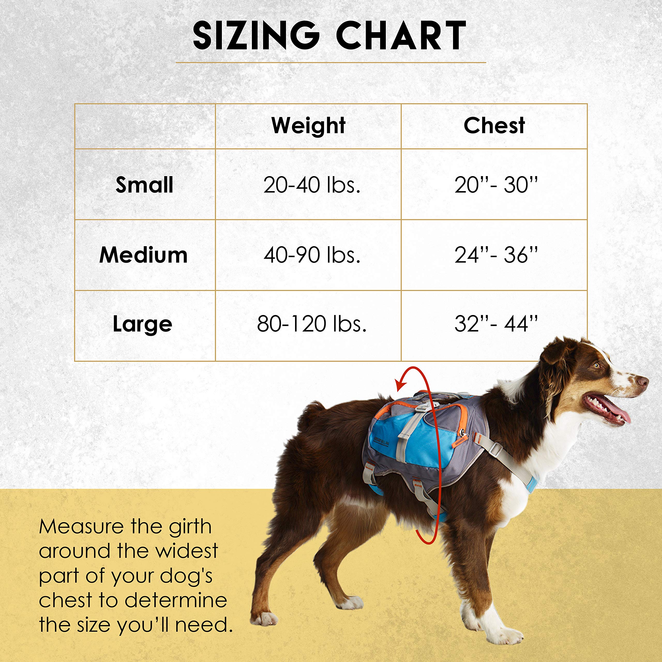 Cesar Millan Dog Backpack (Small)