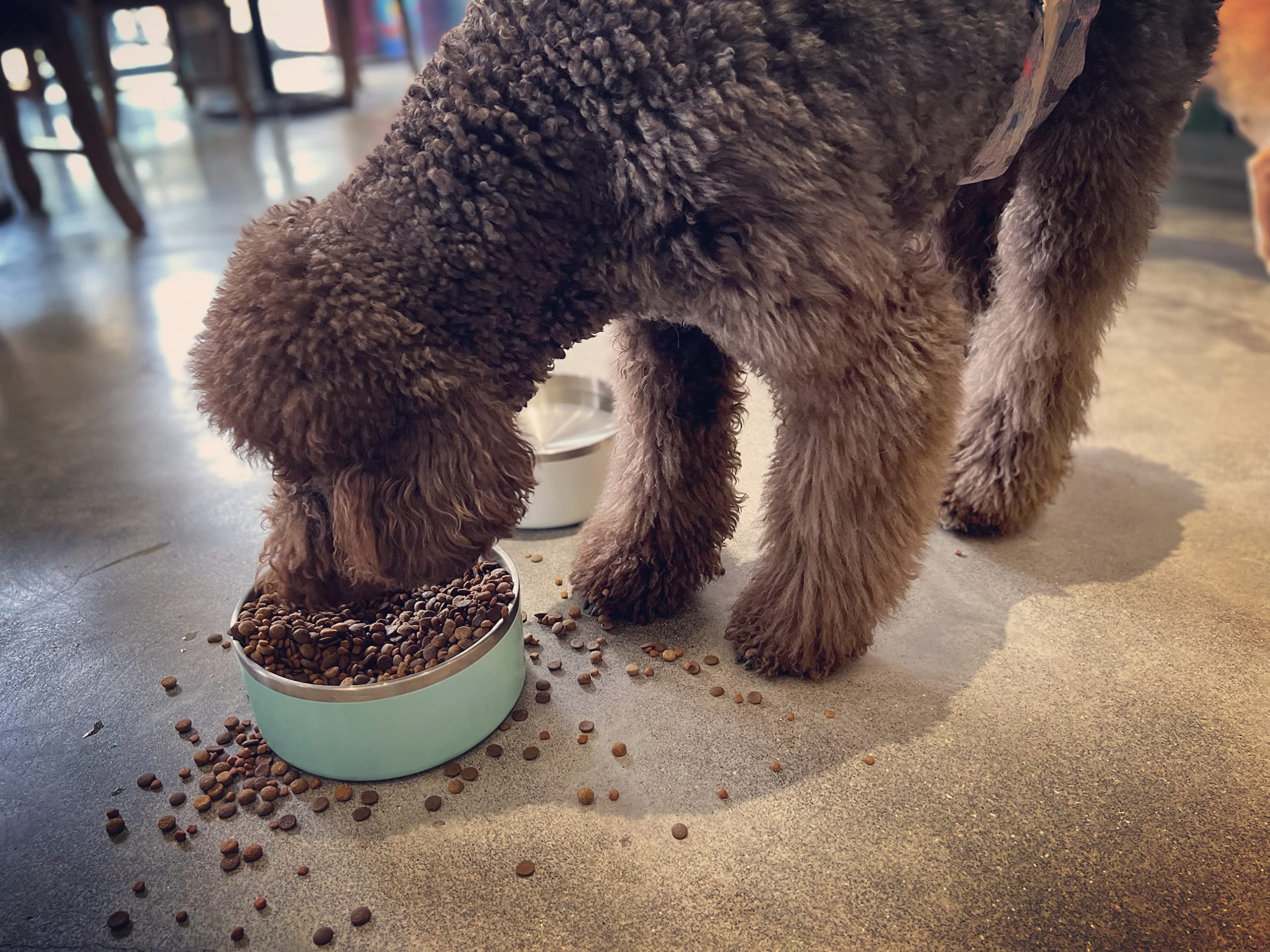 IKITCHEN Dog Bowl for Food and Water, 64 Oz Stainless Steel Pet Feeding Bowl, Durable Non-Skid Double Wall Insulated Heavy Duty