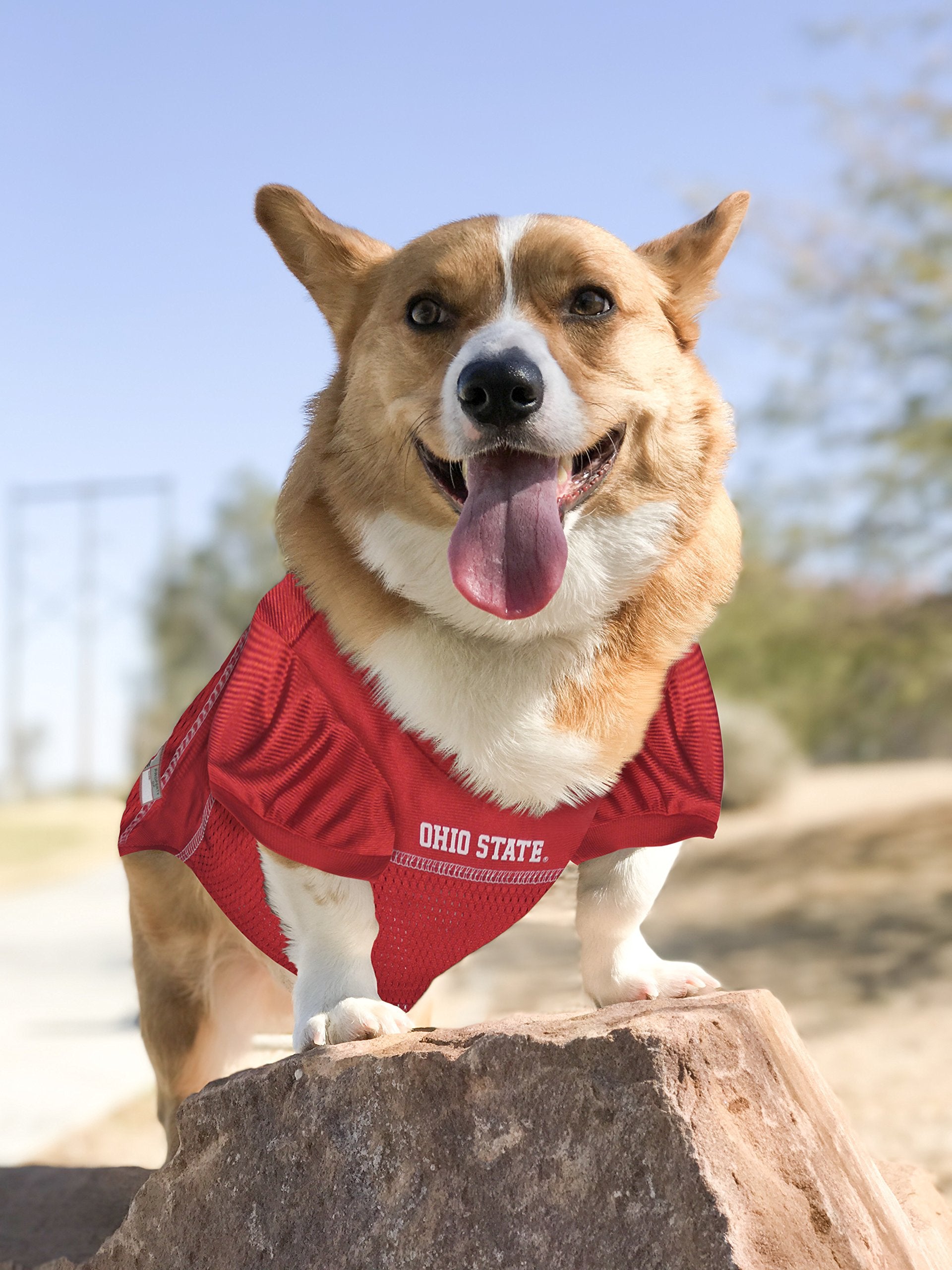 Pets First NCAA College Ohio State Buckeyes Mesh Jersey for DOGS & CATS, X-Large. Licensed Dog Jersey with your Favorite Footbal