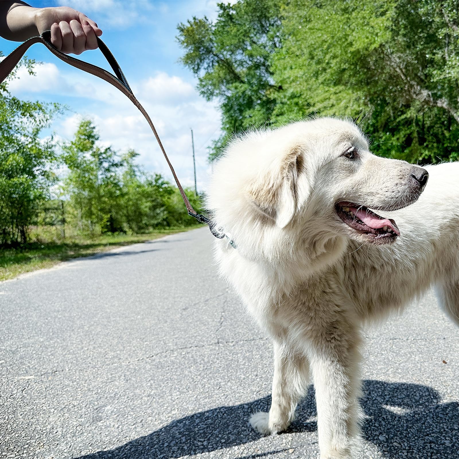 Joytale Dog Leash Heavy Duty For Large Dogs That Pull, Double Handle For Traffic Control, Double-Sided Reflective Leashes For La