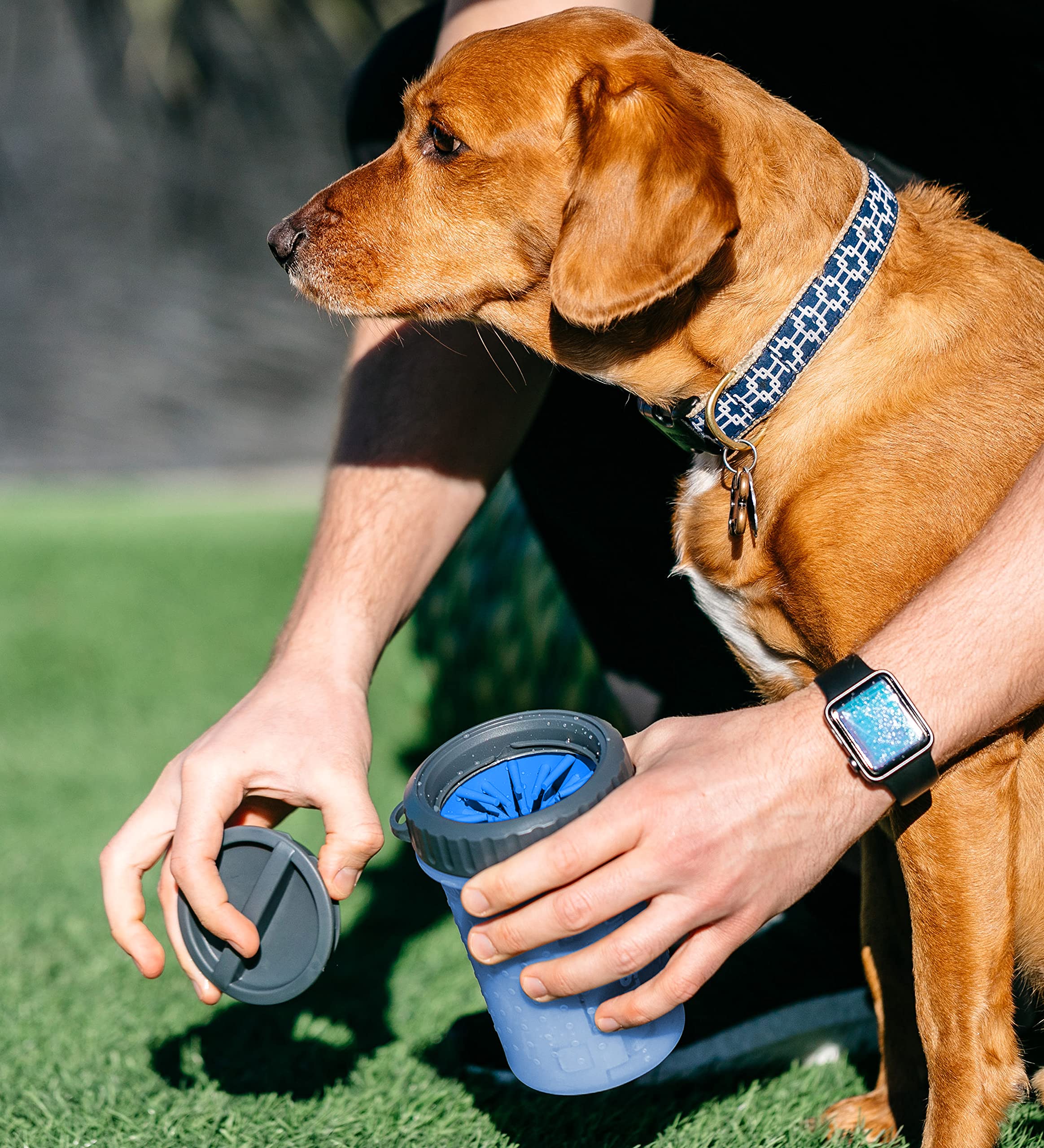 Dexas Lidded Mudbuster Portable Dog Paw Cleaner, Medium, Pro Blue