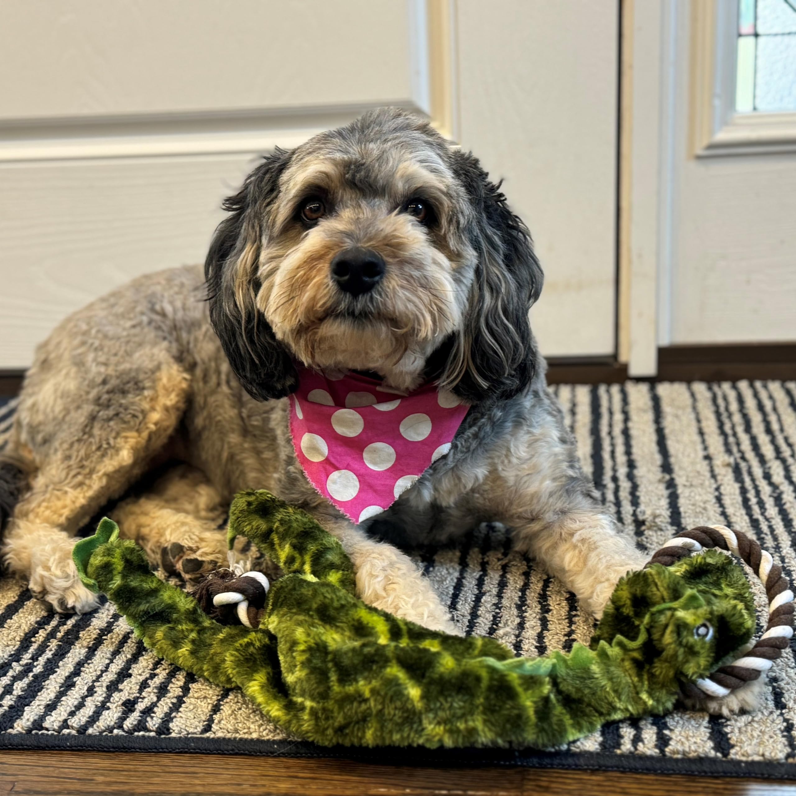 Spot Skinneeez Tugs Jungle Dog Toy - Rope Design For Extra Strength, With Squeaker & Crinkle, Stuffingless Design For Strong Chewers, Tug Toy For Medium To Large Puppies & Dogs - 23In, Style May Vary