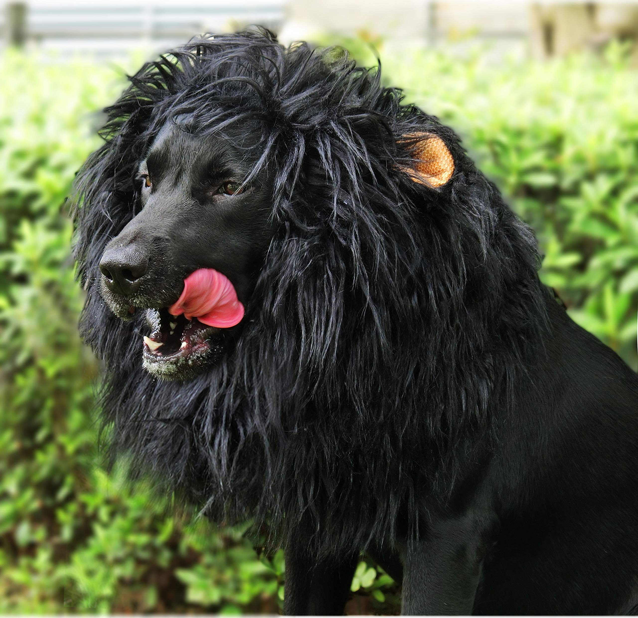 Onmygogo Lion Mane Wig For Dogs With Ears, Funny Pet Costumes For Halloween Christmas (Size L, Coffee)