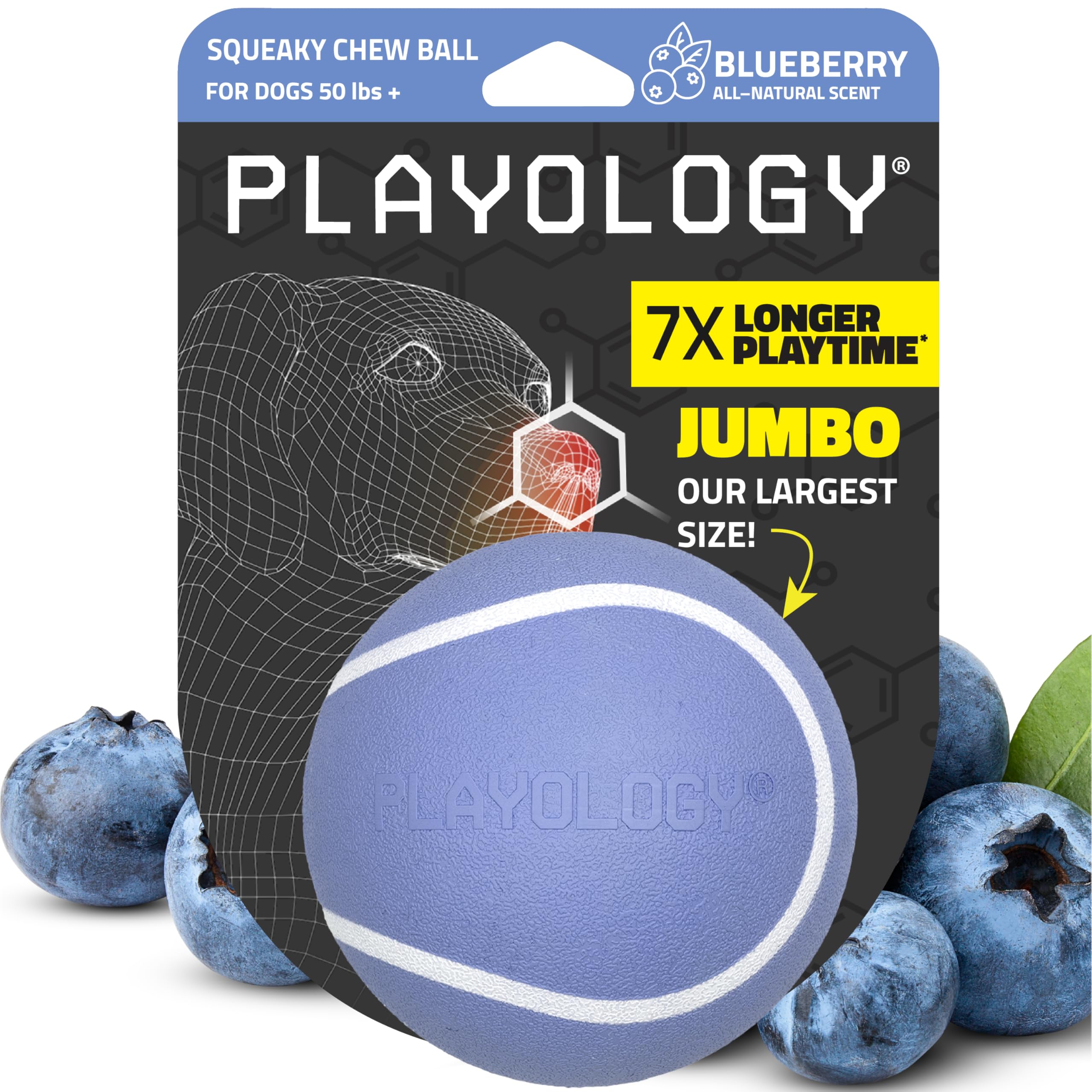 Playology Dog Toys | Squeaky Chew Ball - Bouncy Durable Floating Fetch Ball for Dogs | Jumbo Blueberry Scented Toy - Easy to Cle
