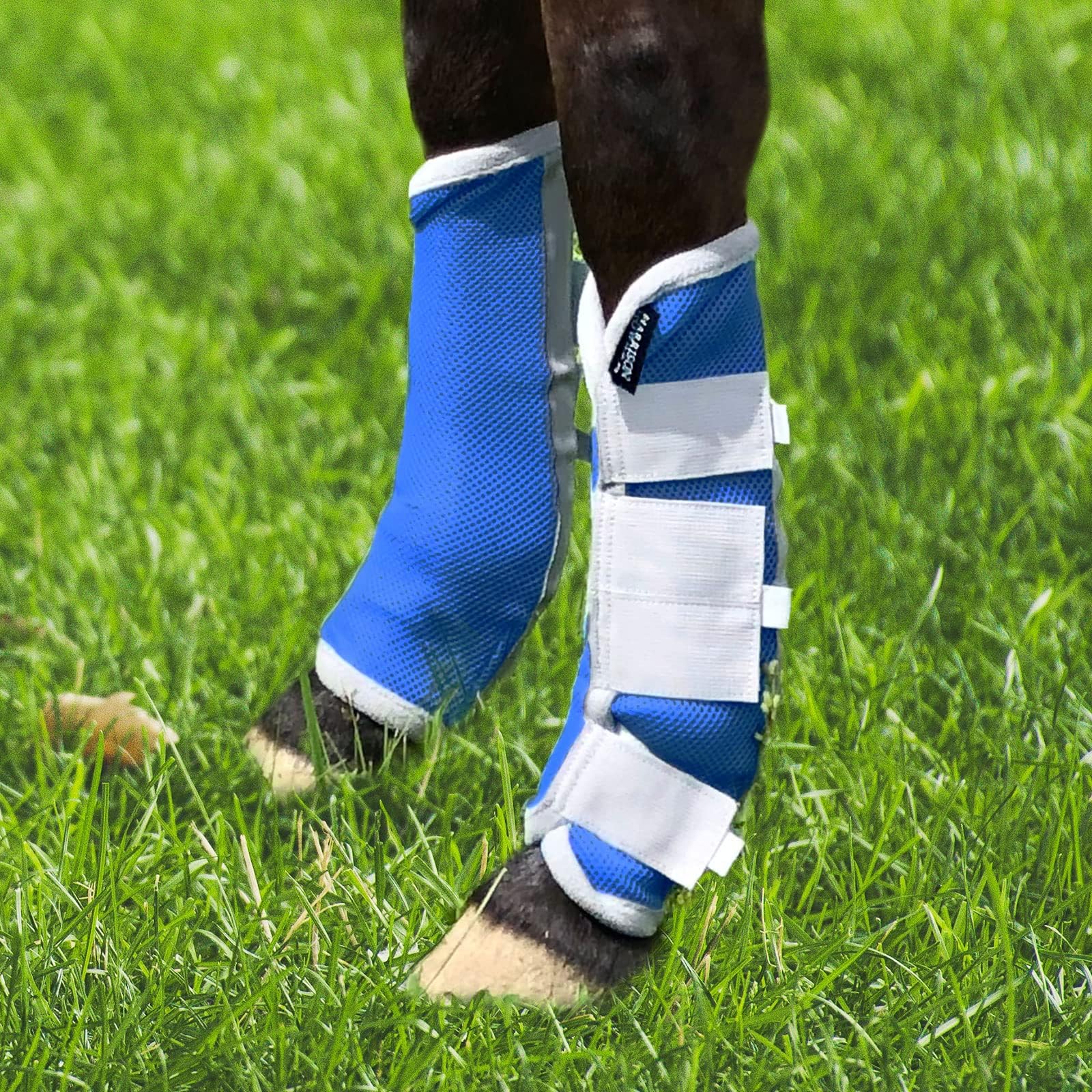 Harrison Howard Horse Fly Boots Leg Guards Fly Boots Protection Set of 4 Aquamarine Medium Cob