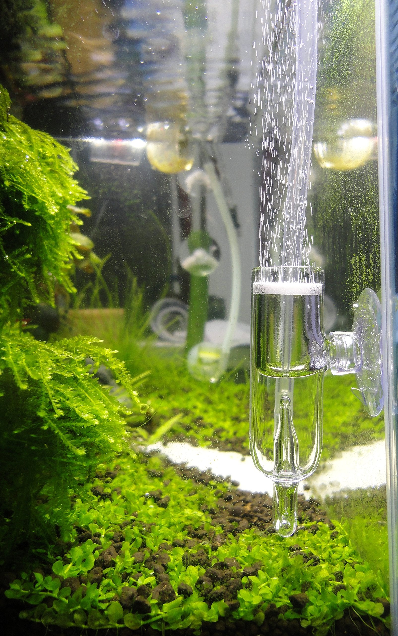 Pollen Glass Co2 Diffuser With Bubble Counter For Aquarium Planted Tank