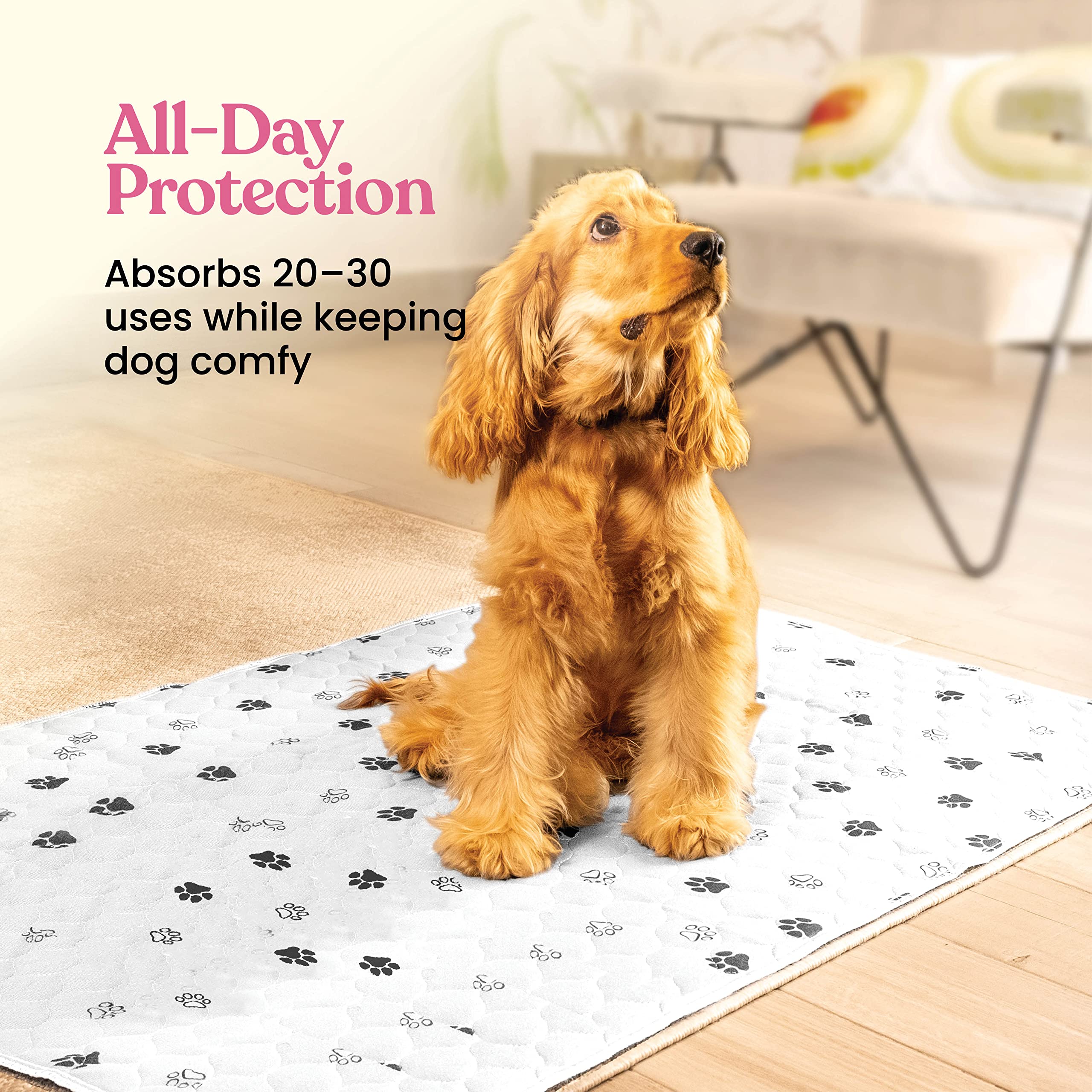 Super Absorbent Washable Pee Pads For Dogs - 2-Pack Superior Reusable Puppy Pads Pet Training Pads -100% Waterproof Dog Pee Pad
