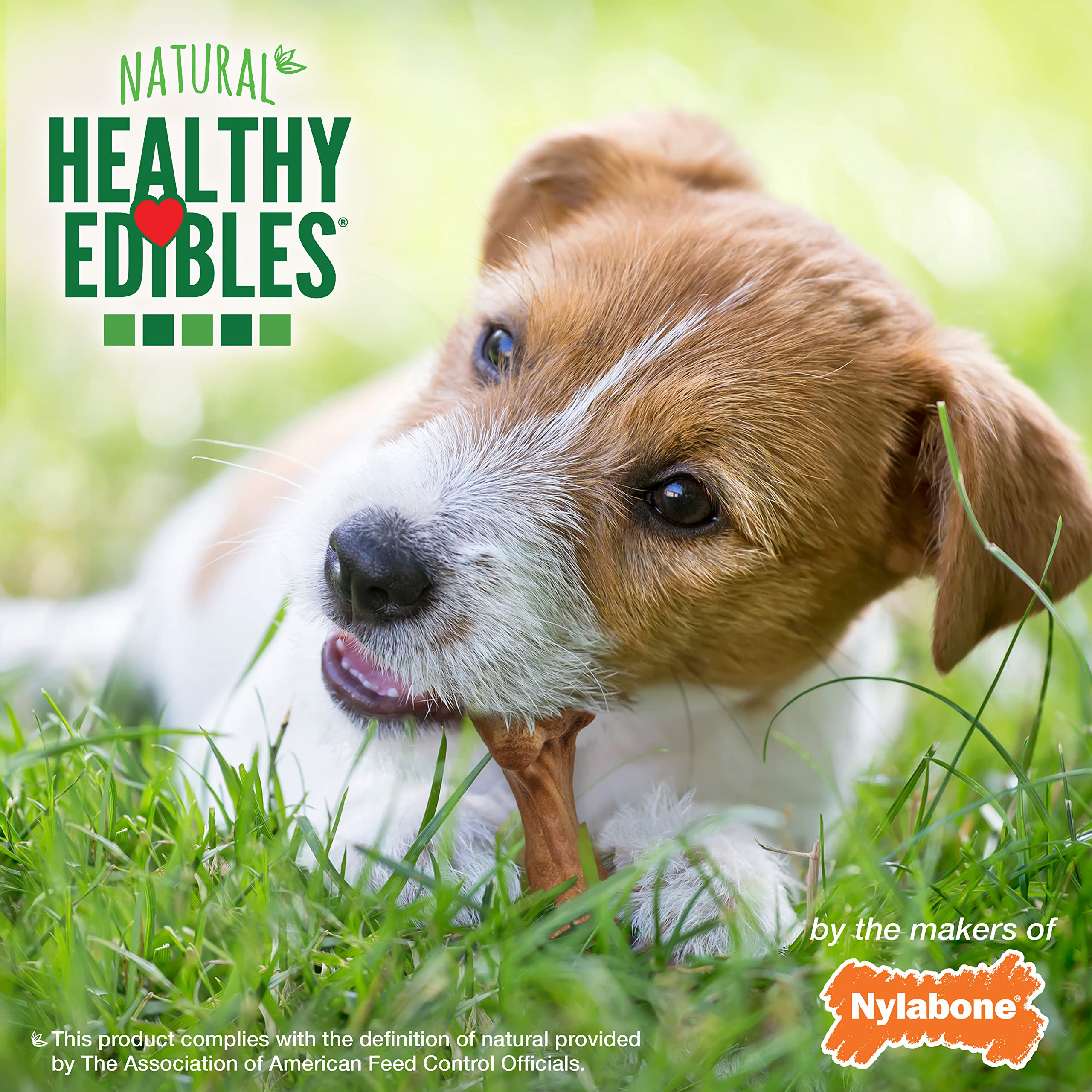 Nylabone Healthy Edibles WILD Natural Long-Lasting Bison Flavor Bone Chew Treats for Dogs, Small (8 Count)