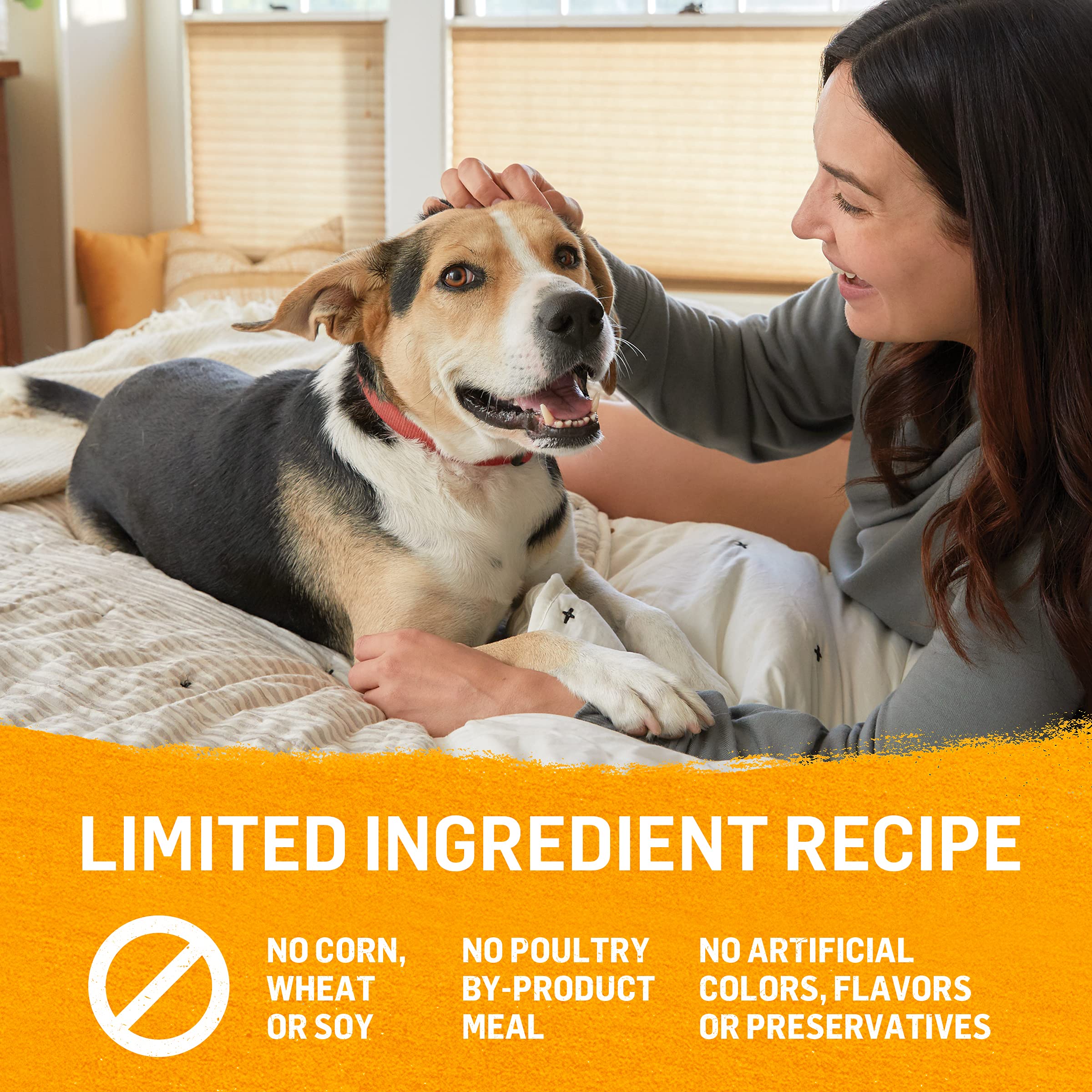 Purina Beyond Grain Free, Natural Pate Wet Dog Food, Grain Free Chicken, Carrot &amp; Pea Recipe - (12) 13 oz. Cans