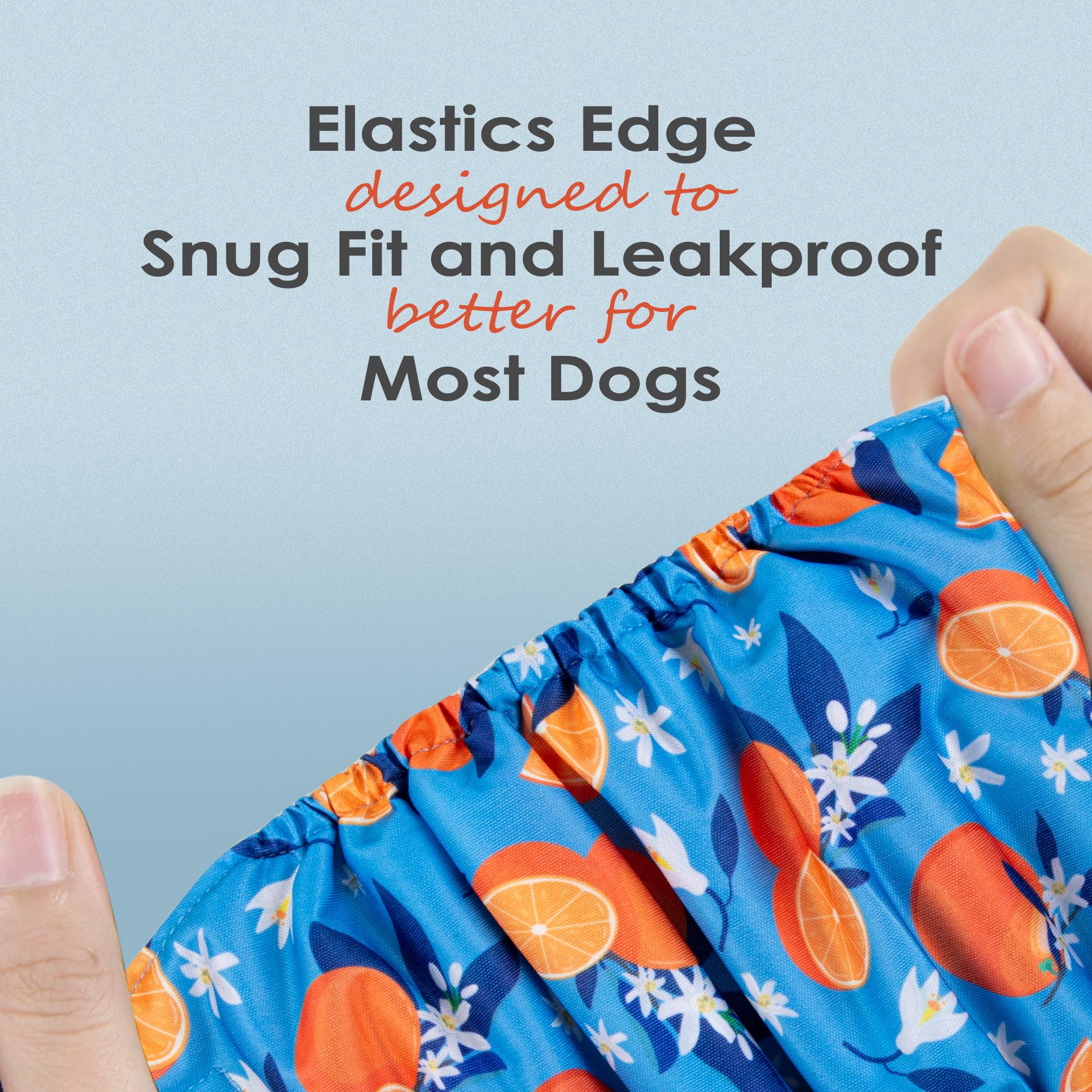 Wegreeco Belly Bands For Male Dogs, (4 Pack) Of Washable Male Dog Diapers, Super Absorbent Dog Belly Band (Fruit, Adventure, Med