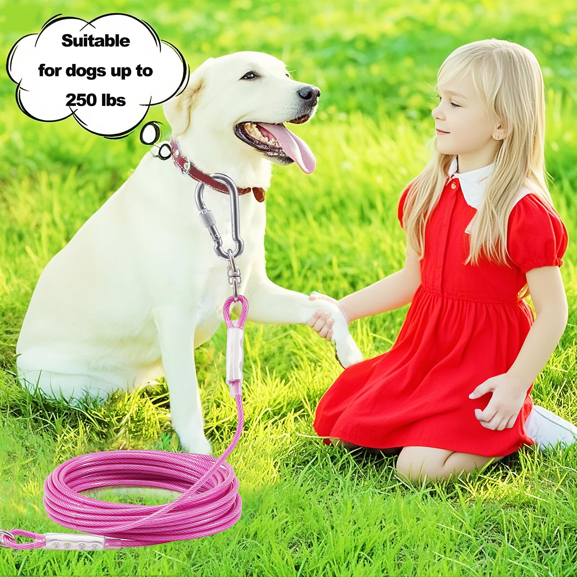 Dog Tie Out Cable For Outside,10Ft Long Dog Leash&Chains With Swivel Hook,Small-Large Dogs Runner Cable For Yard,Heavy Duty Dogs