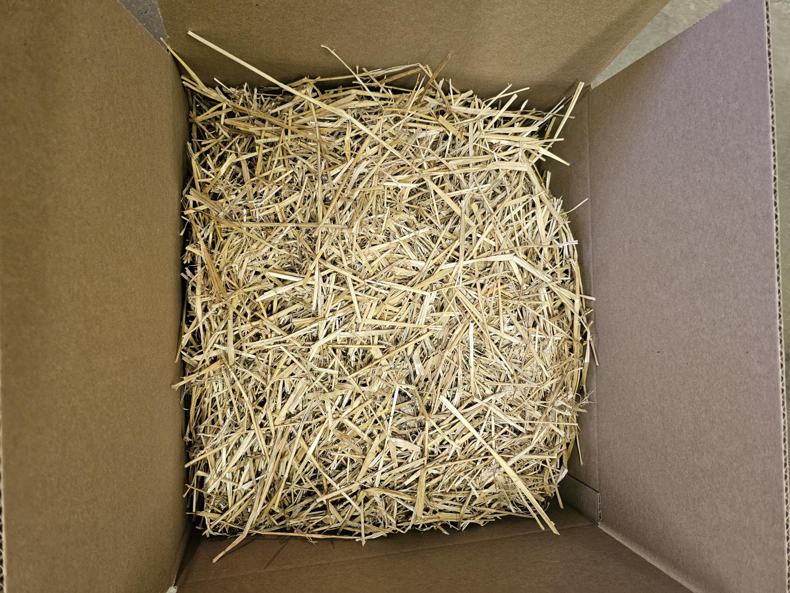 Feral Cat Bedding - Loose Wheat Straw, 5 Lbs - Clean, Natural