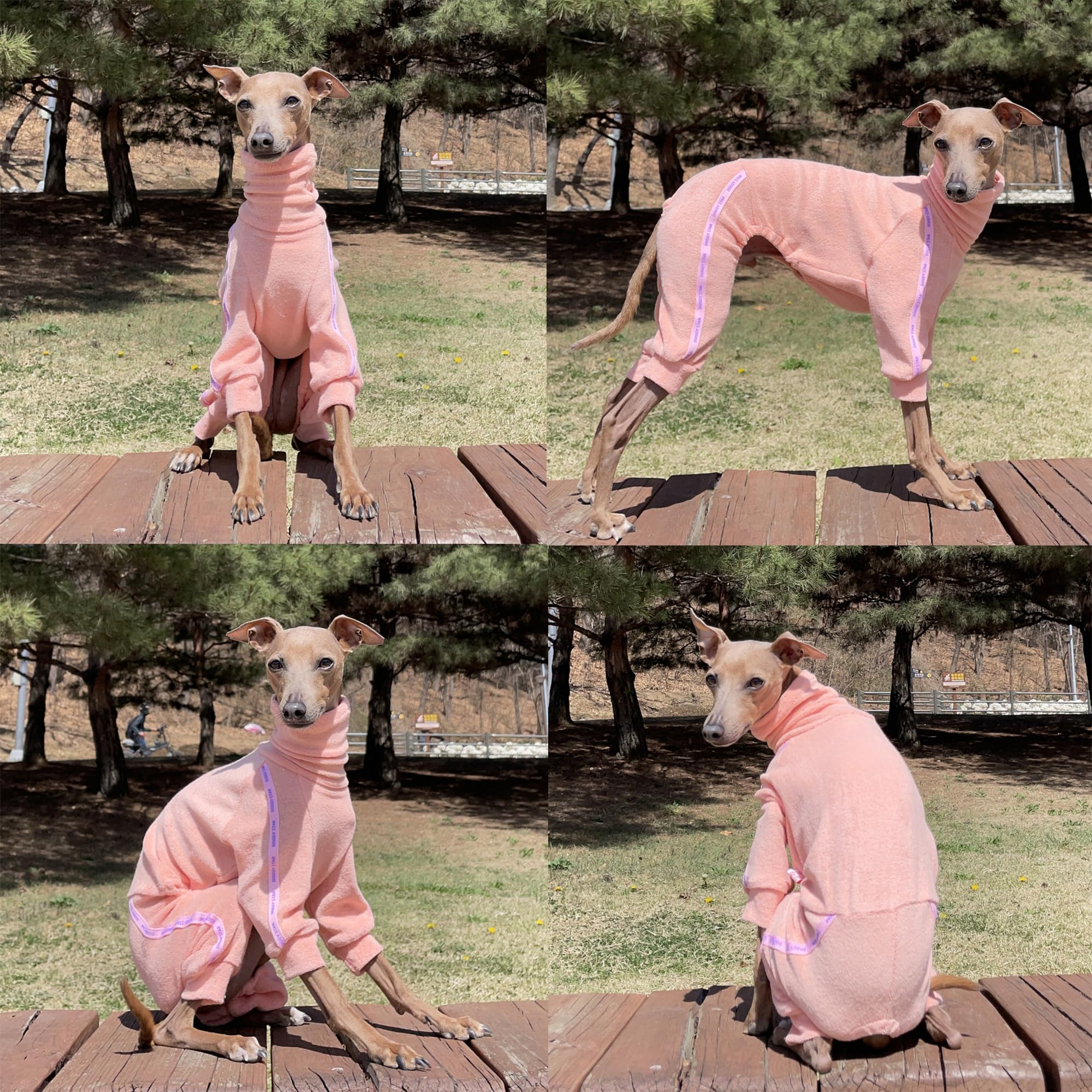 D Doggy Star Italian Greyhound Clothes Stretchy Towel Sports Onesie Outfit Whippet For Dog Coat (M,Twl Apricot)