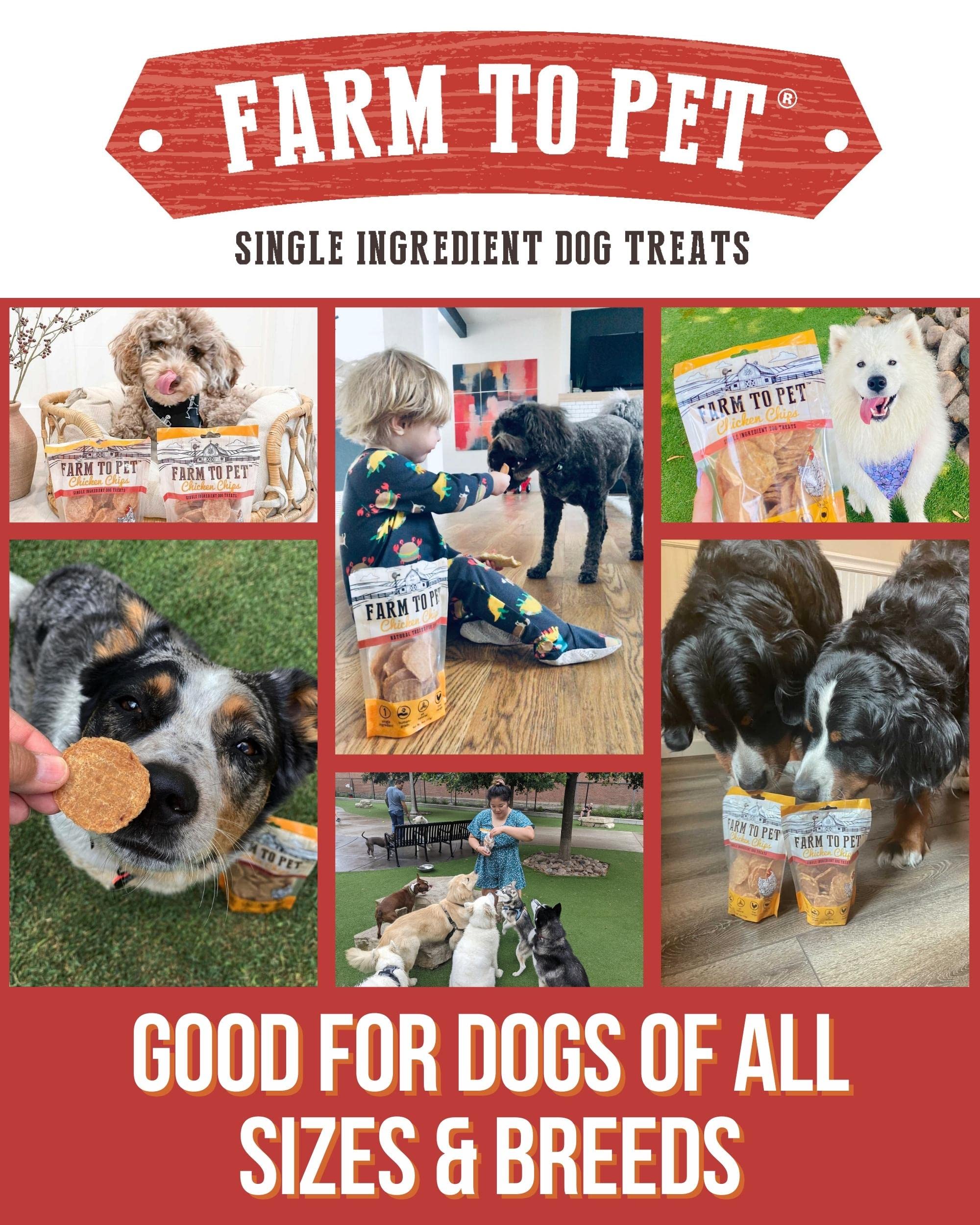 Farm To Pet Dog Training Treats - Chicken Chips, Single Ingredient, Lean, All Natural, Healthy Dog Treats for Small, Medium, Lar