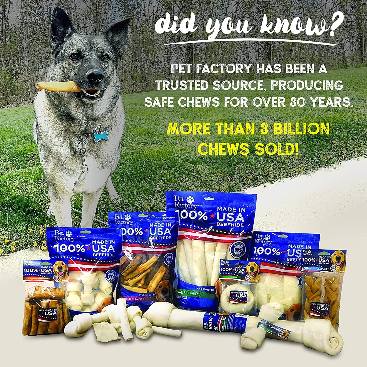 Pet Factory 100% Made in USA Beefhide 5  Chip Rolls Dog Chew Treats - Peanut Butter Flavor, 20 Count/1 Pack