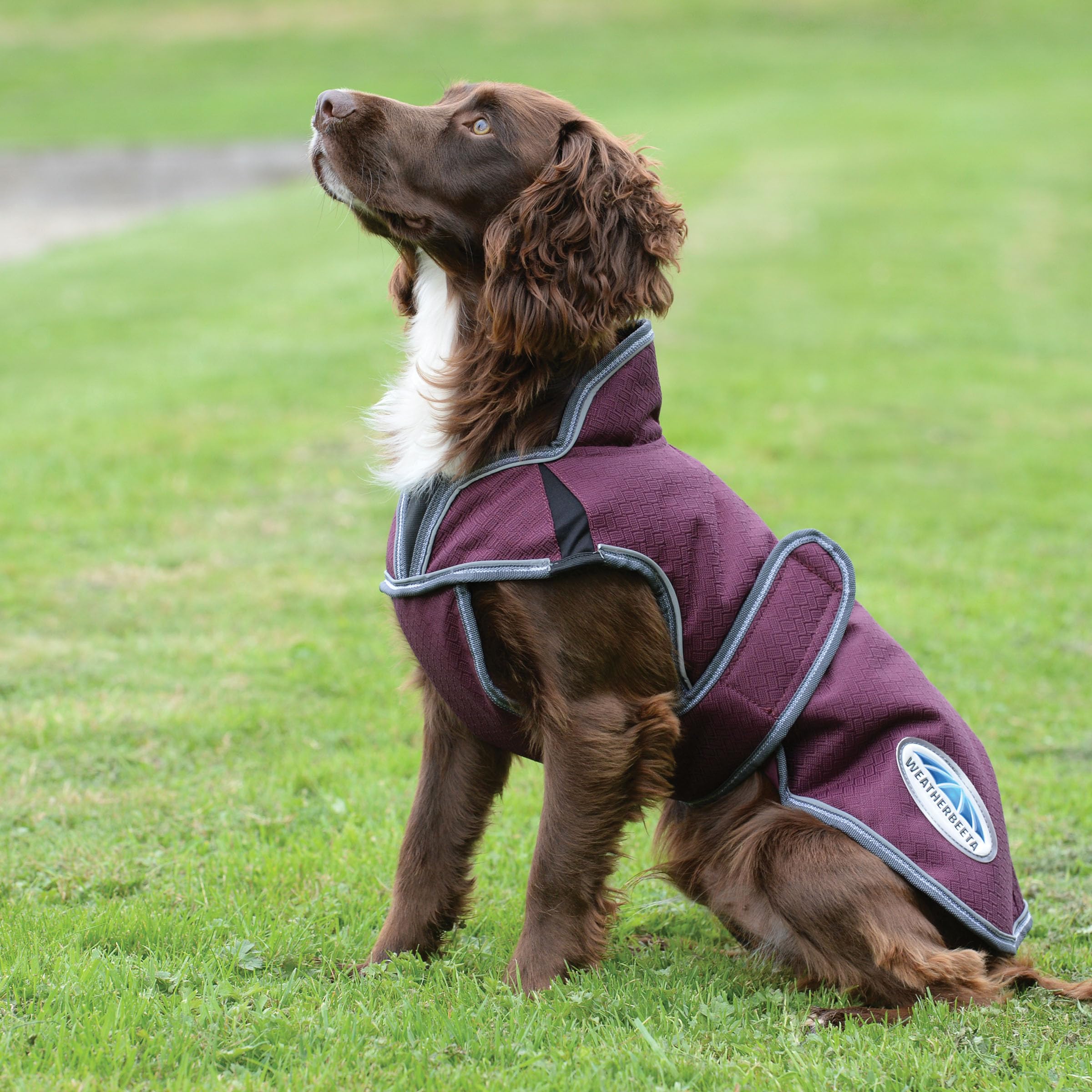Weatherbeeta Comfitec Premier Free Parka Deluxe Dog Coat Medium, Maroon/Grey/White, 28