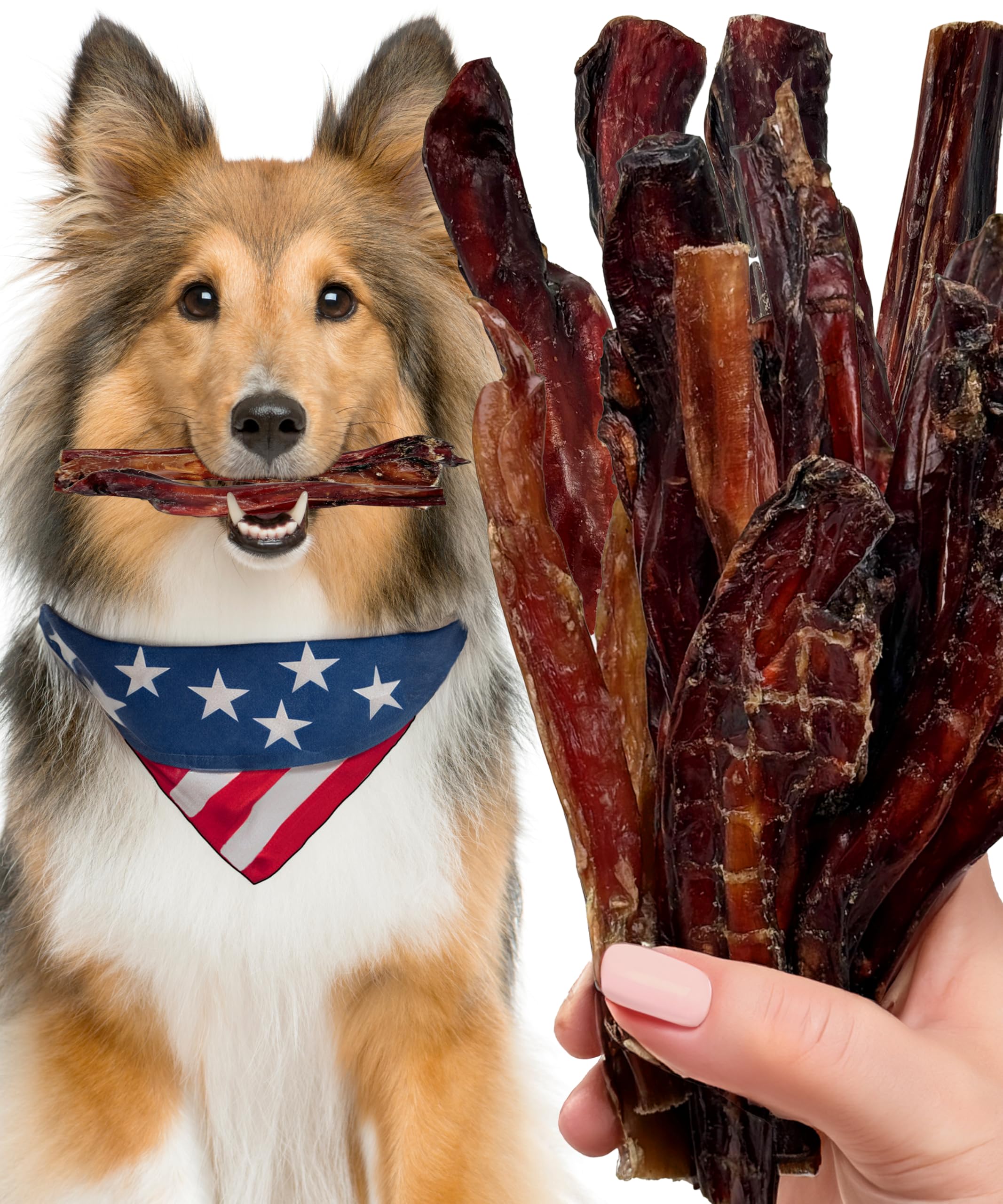 Bully Sticks for Dogs Sourced & Made in USA, All-Natural Taste, Shape, & Color, 6 inch Pizzle Sticks, Bully Bones for Small and 