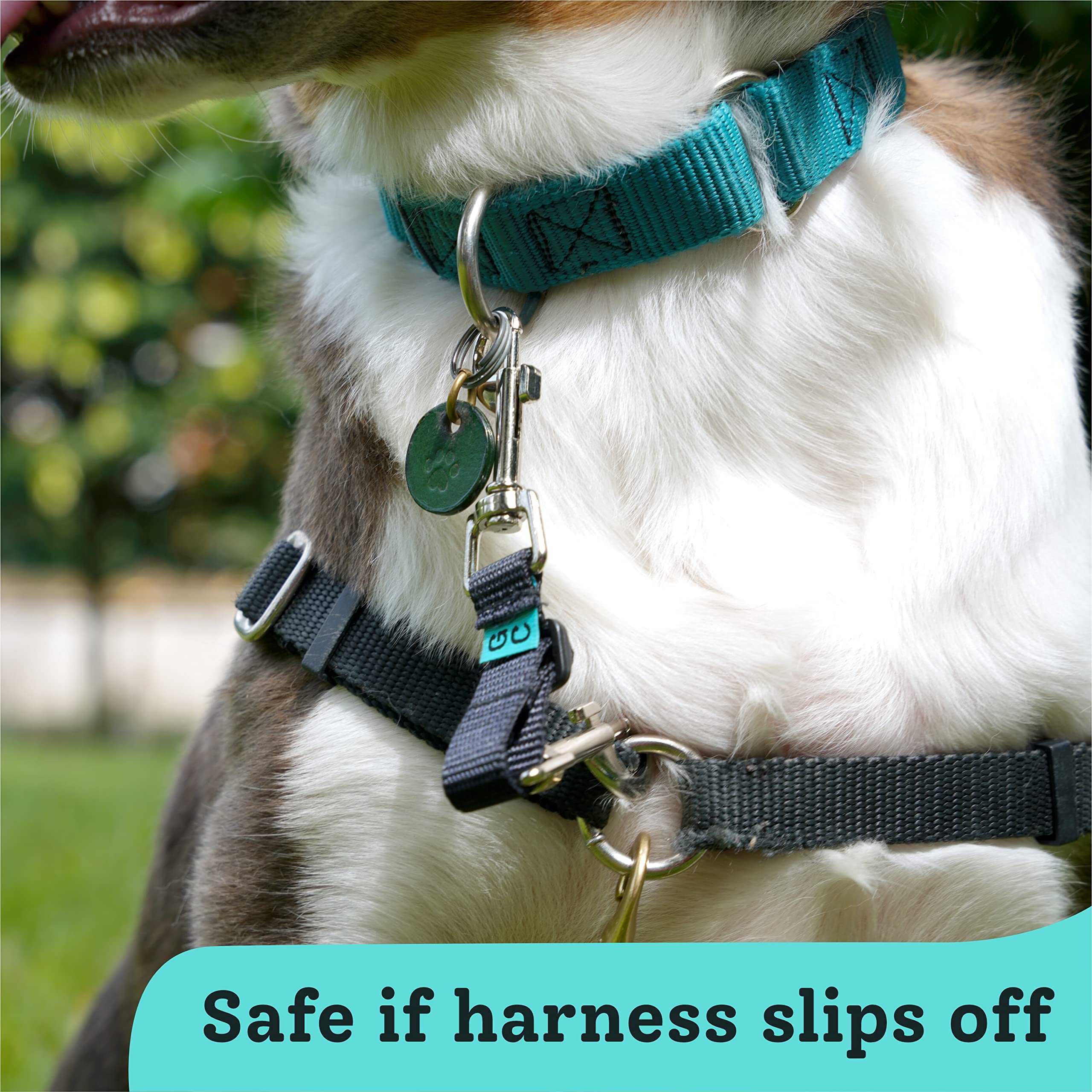 Gentle Creatures Collar Companion - Adjustable Collar Backup Clip For Dog Harness, Prong, Pinch Collar, Gentle Lead - Double Ended Clasp - Safety Clip