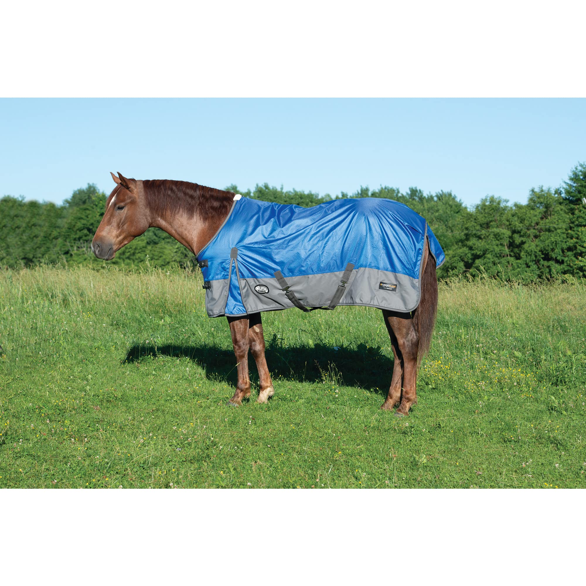 Weaver Leather Turnout Horse Blanket, Threadflare, 1200D, Dazzing Blue 75