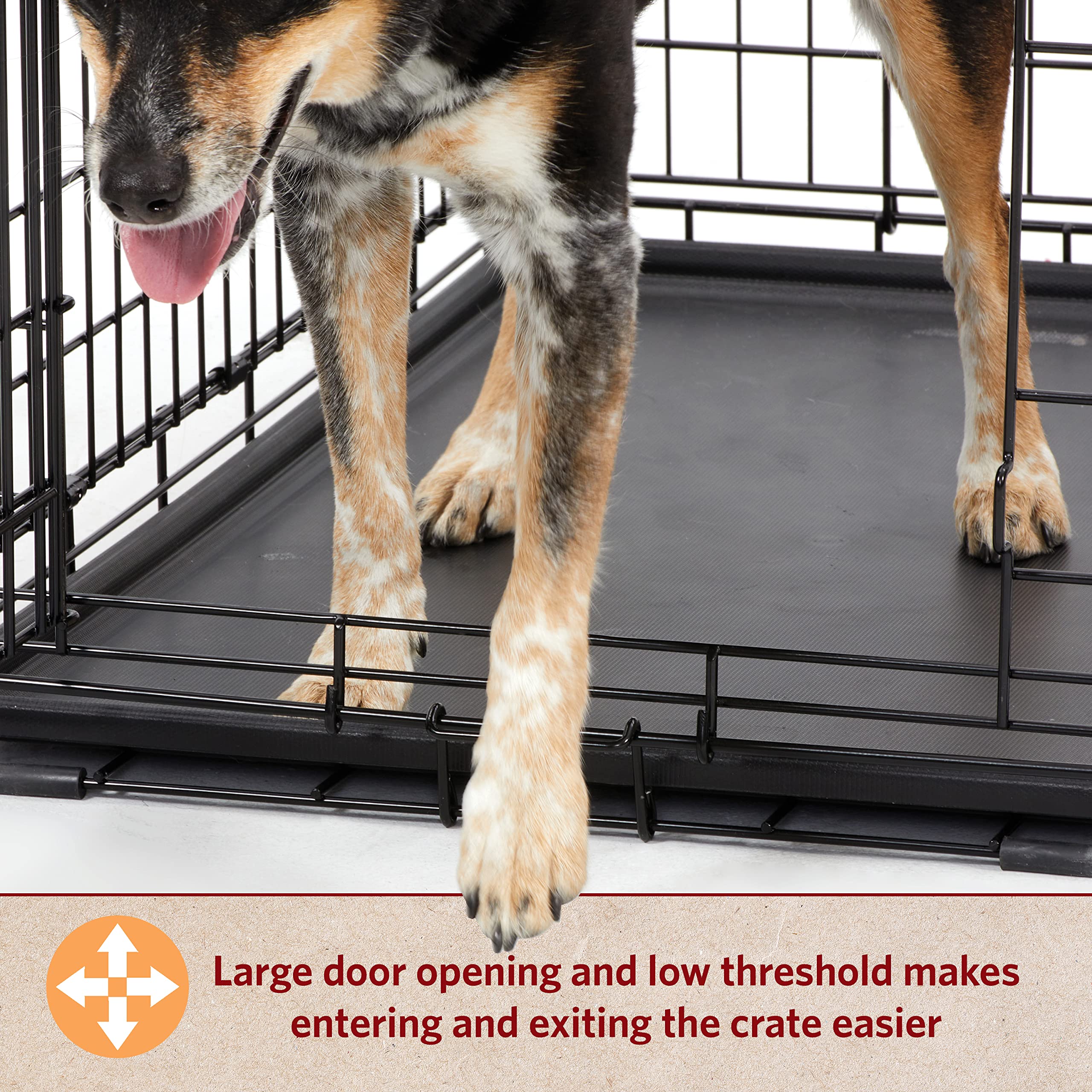 Medium Dog Crate | Midwest Life Stages 30' Double Door Folding Metal Dog Breed Crate | Divider Panel, Floor Protecting Feet & Dog Pan | 30.6L X 19.3W X 21.4H Inches