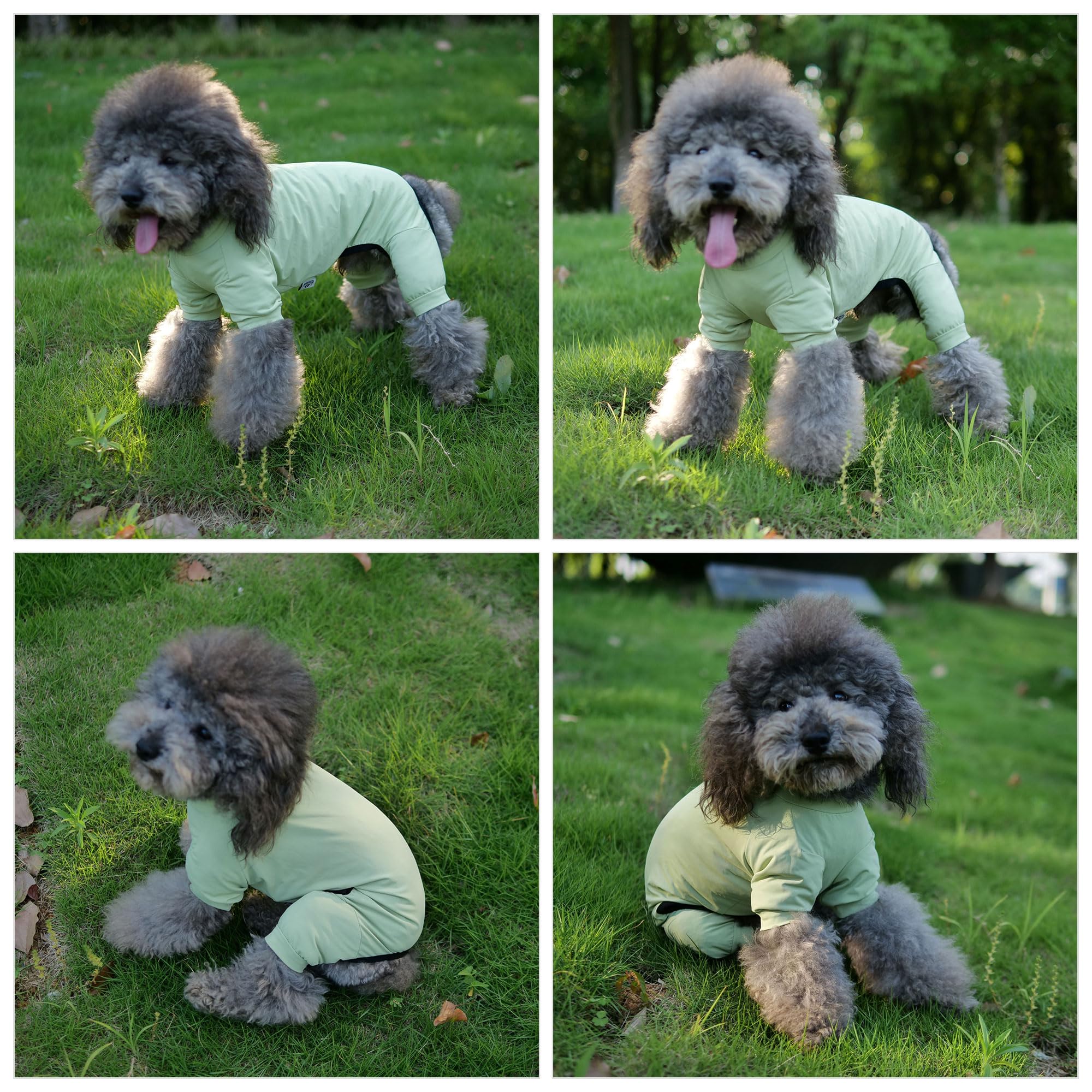 Lovelonglong Dog Jumpsuit With Uv Protection And Quick-Dry Fabric For Spring Summer Pet Pajamas Light Green L