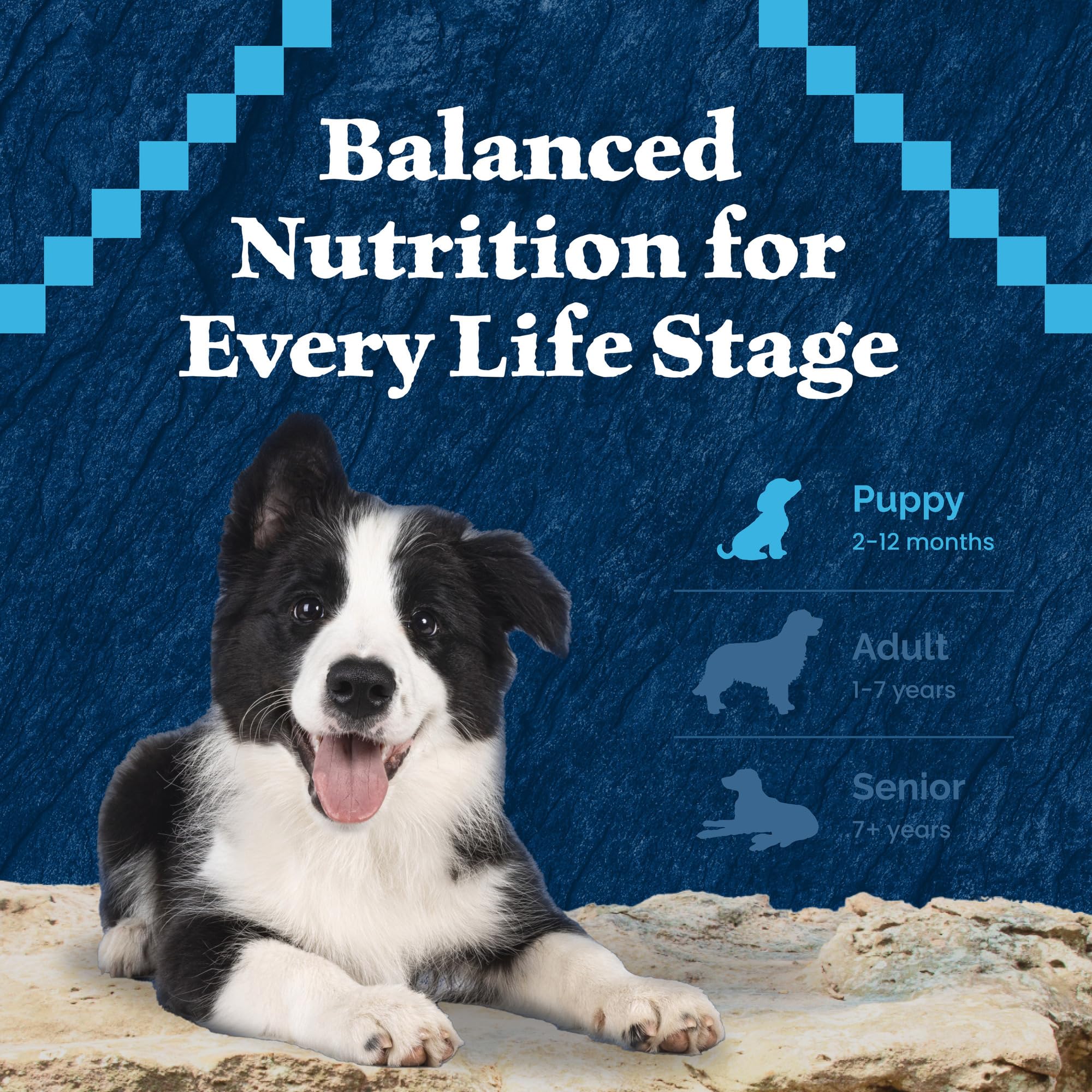 Blue Buffalo Wilderness Natural High-Protein Dry Food for Large Breed Puppies, with Wholesome Grains, Chicken, 28-lb bag.