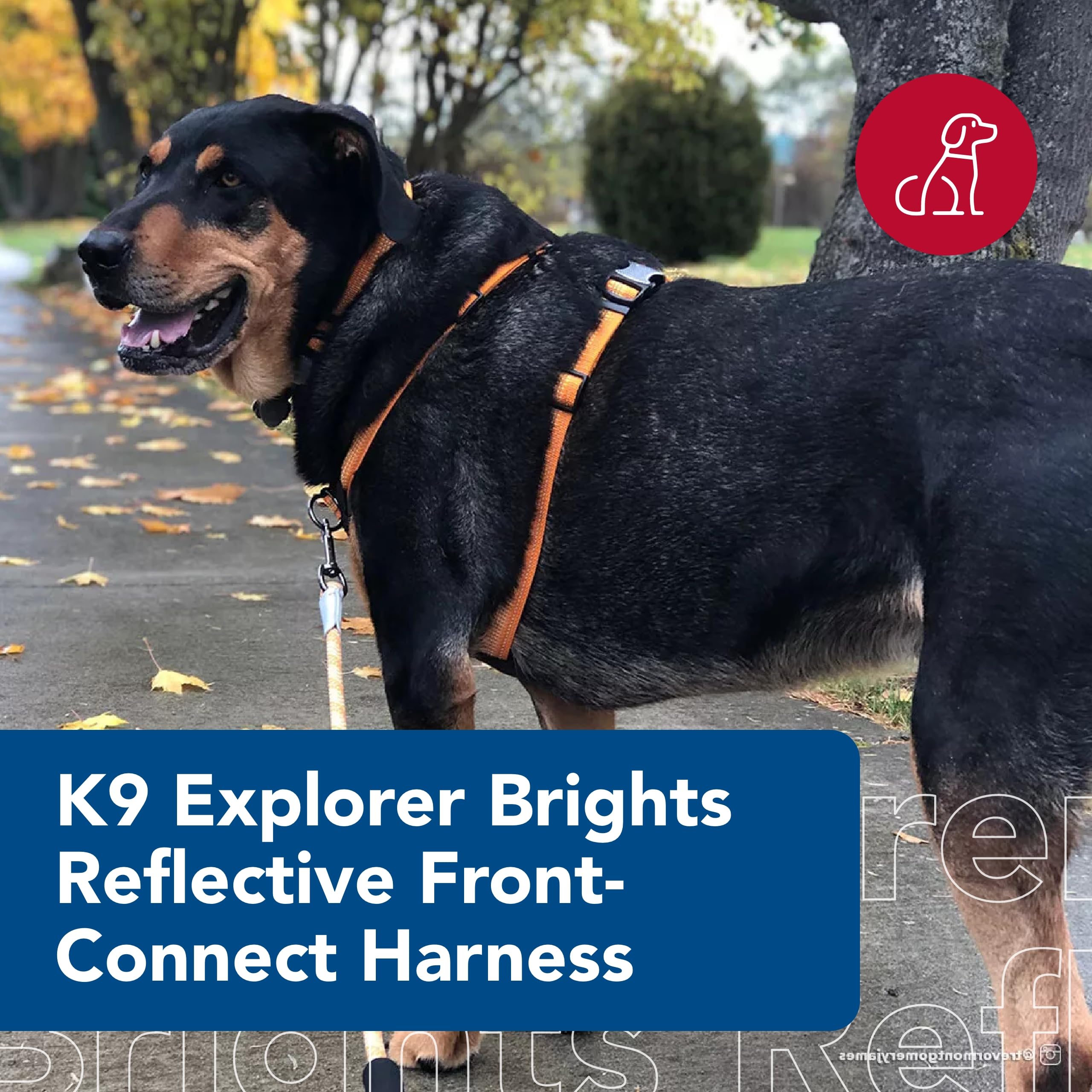 Coastal - K-9 Explorer - Brights Reflective Front-Connect Harness, Desert, 1'' X 20''-30''