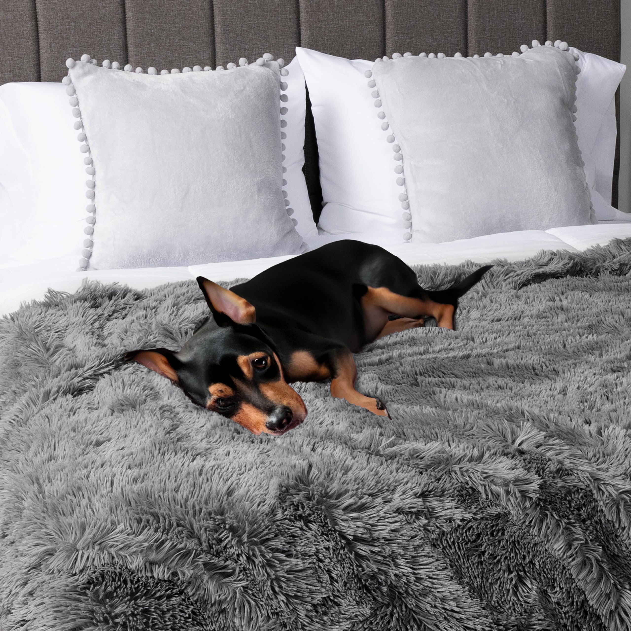 Petami Waterproof Dog Blanket For Medium Large Dogs, Calming Fleece Cat Blanket, Couch Protector Washable Sherpa Faux Fur Pet Throw For Puppy, Soft Reversible Leakproof 40X60 Gray