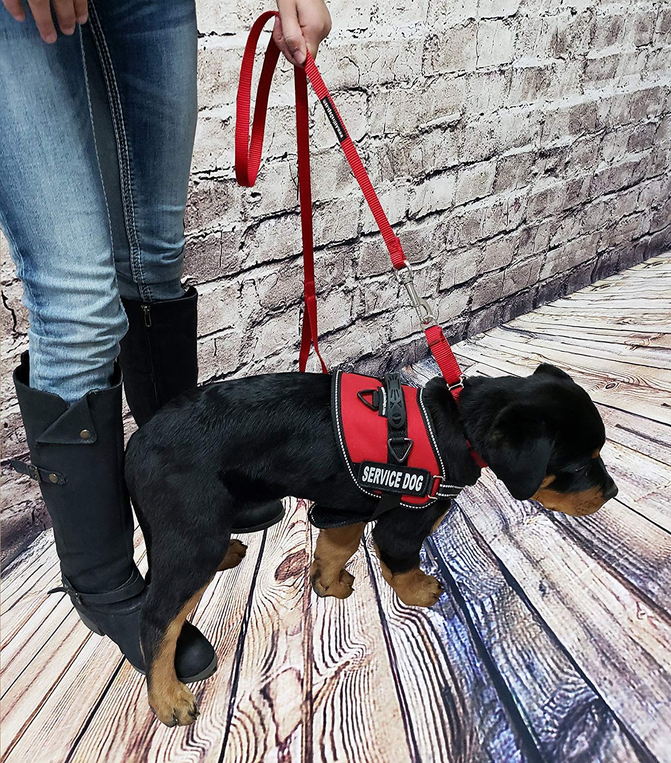 ActiveDogs Service Dog Vest Harness - XL Red, Nylon, Includes Handle & ID Card Carrier, Model 707645, Reflective Patches