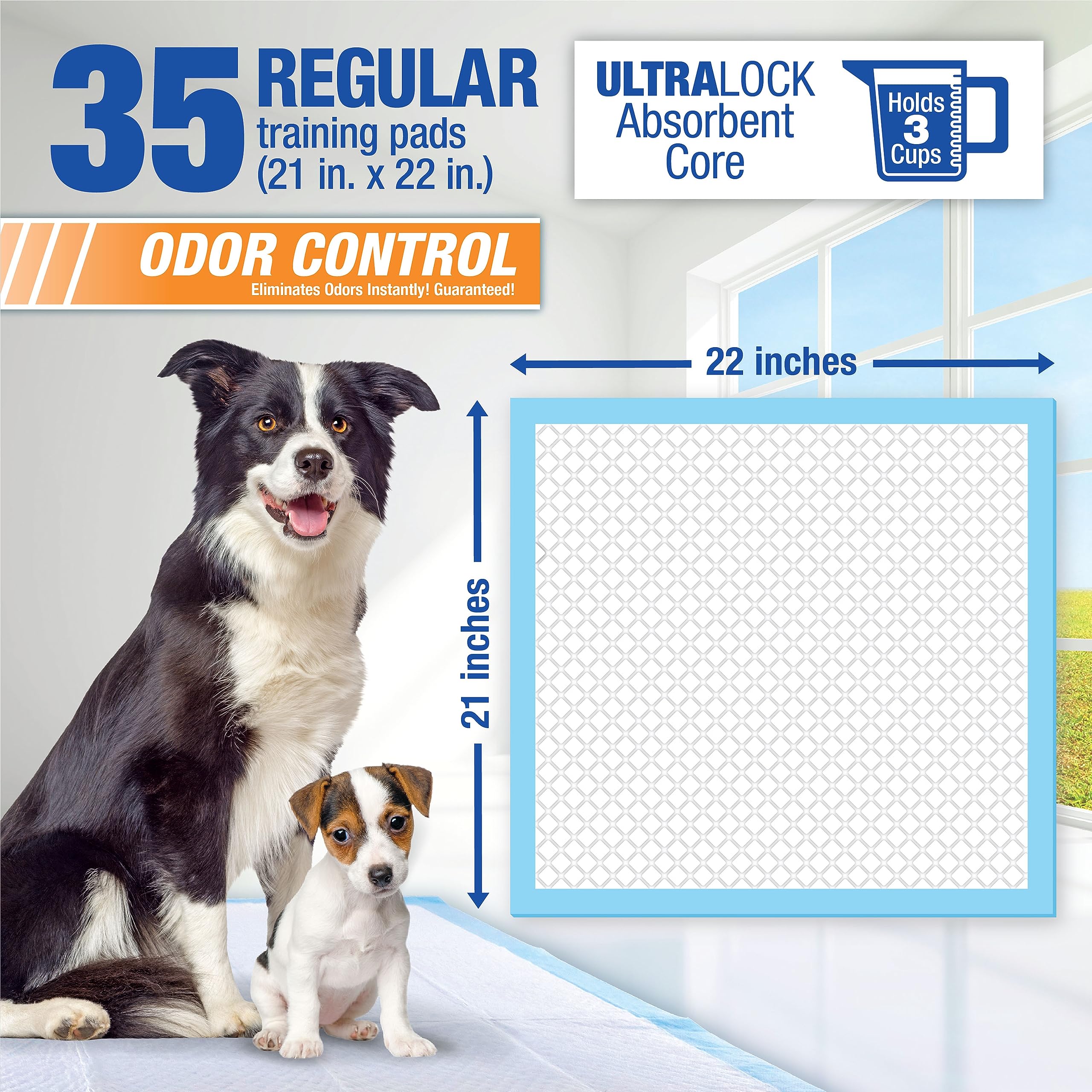 LIL SQUIRTS Training Pads with Charcoal Activated Odor Control 35ct