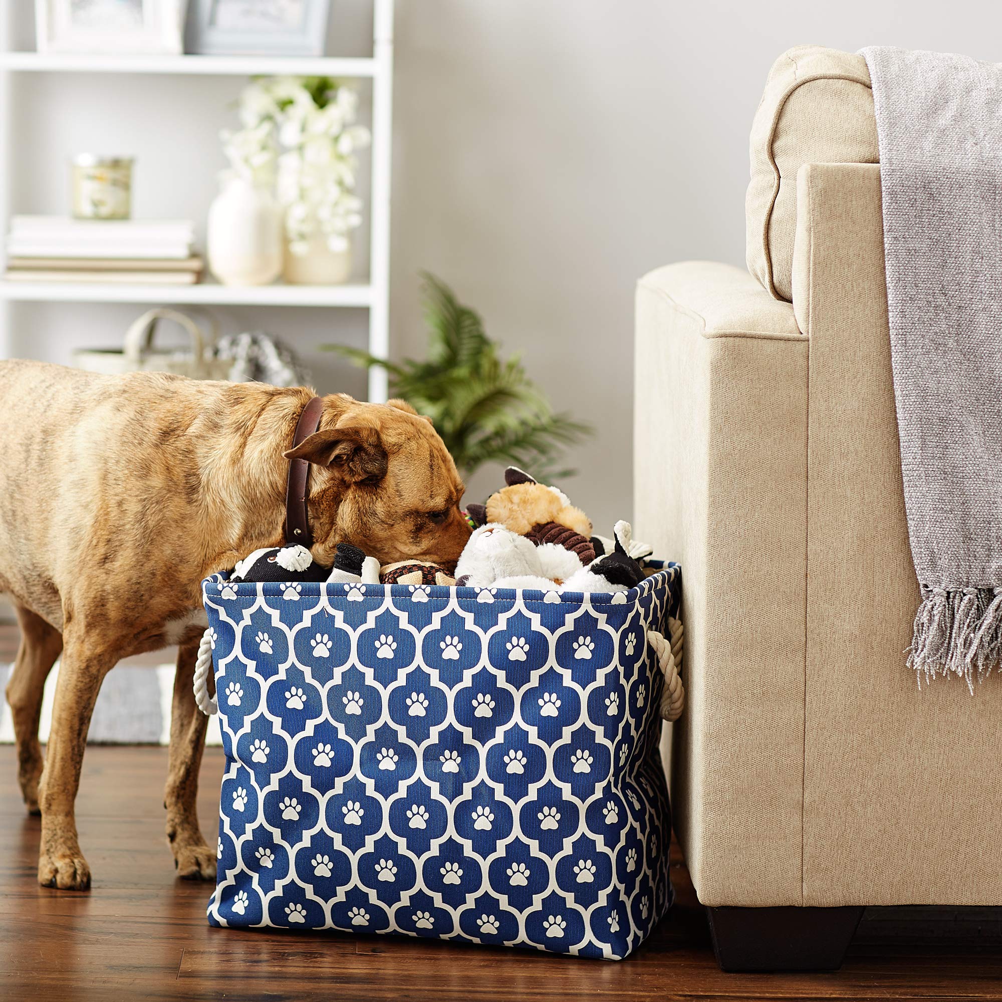 Bone Dry Pet Storage Collection Lattice Paw Print, Large Rectangle, Nautical Blue