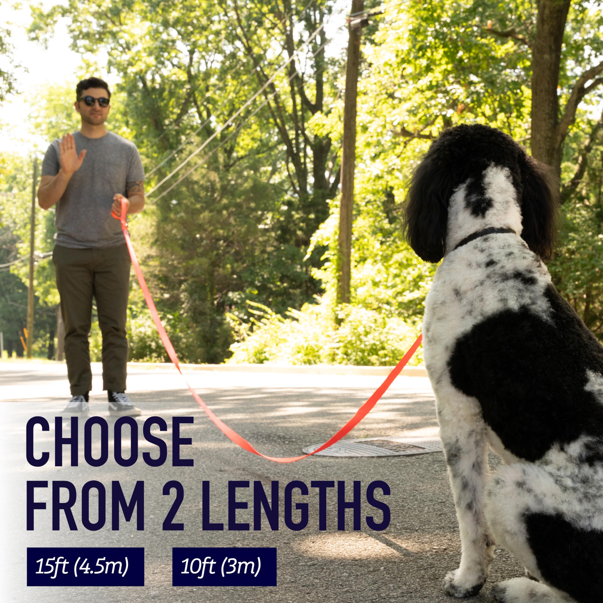 Leash Boss 15 Foot Dog Leash With Padded Handle - Long Leash For Hiking, Camping, Exploring, Or Walking (15 Ft, Black/Red/Grey)